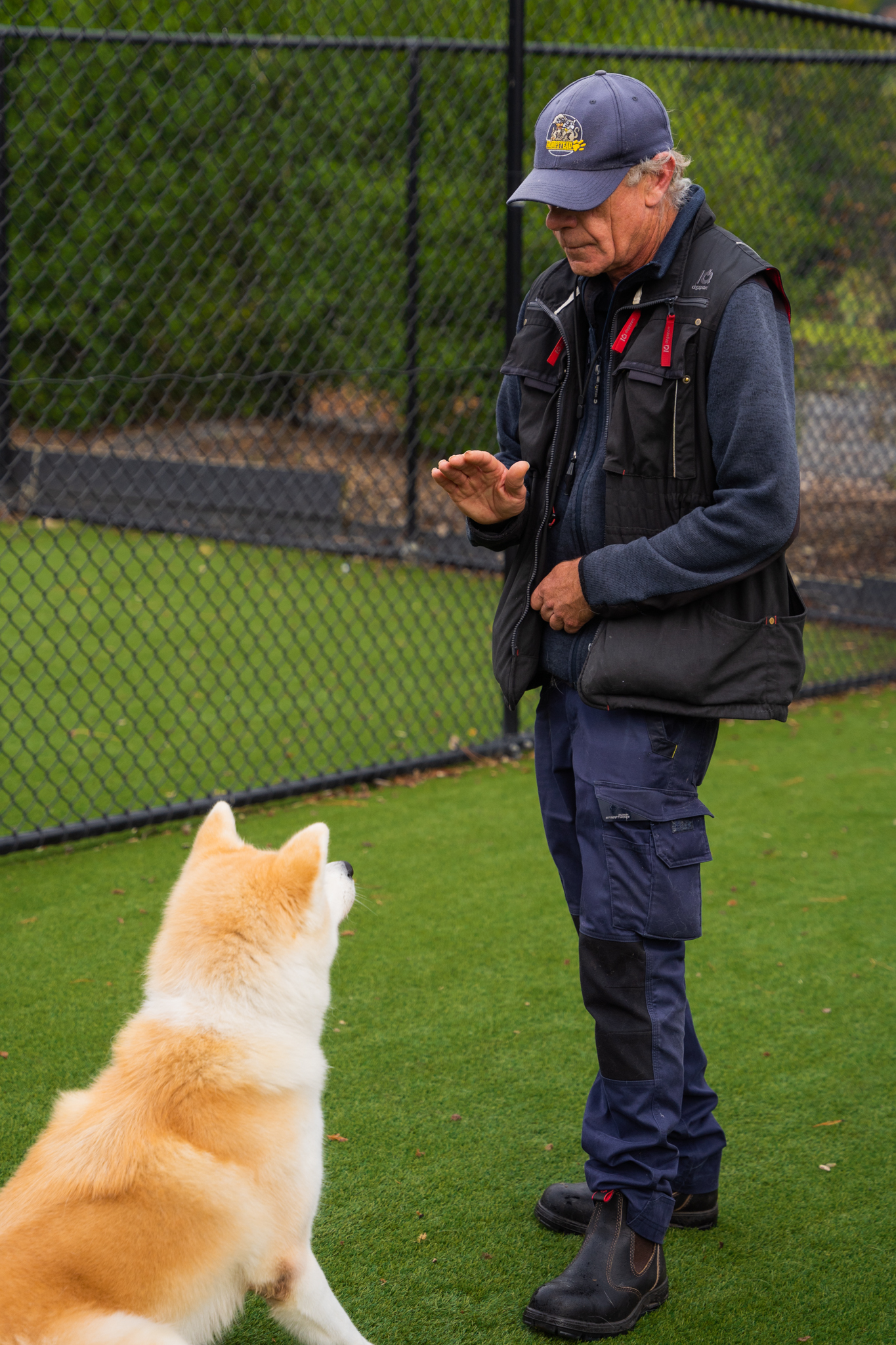 Canine Coaching Sessions