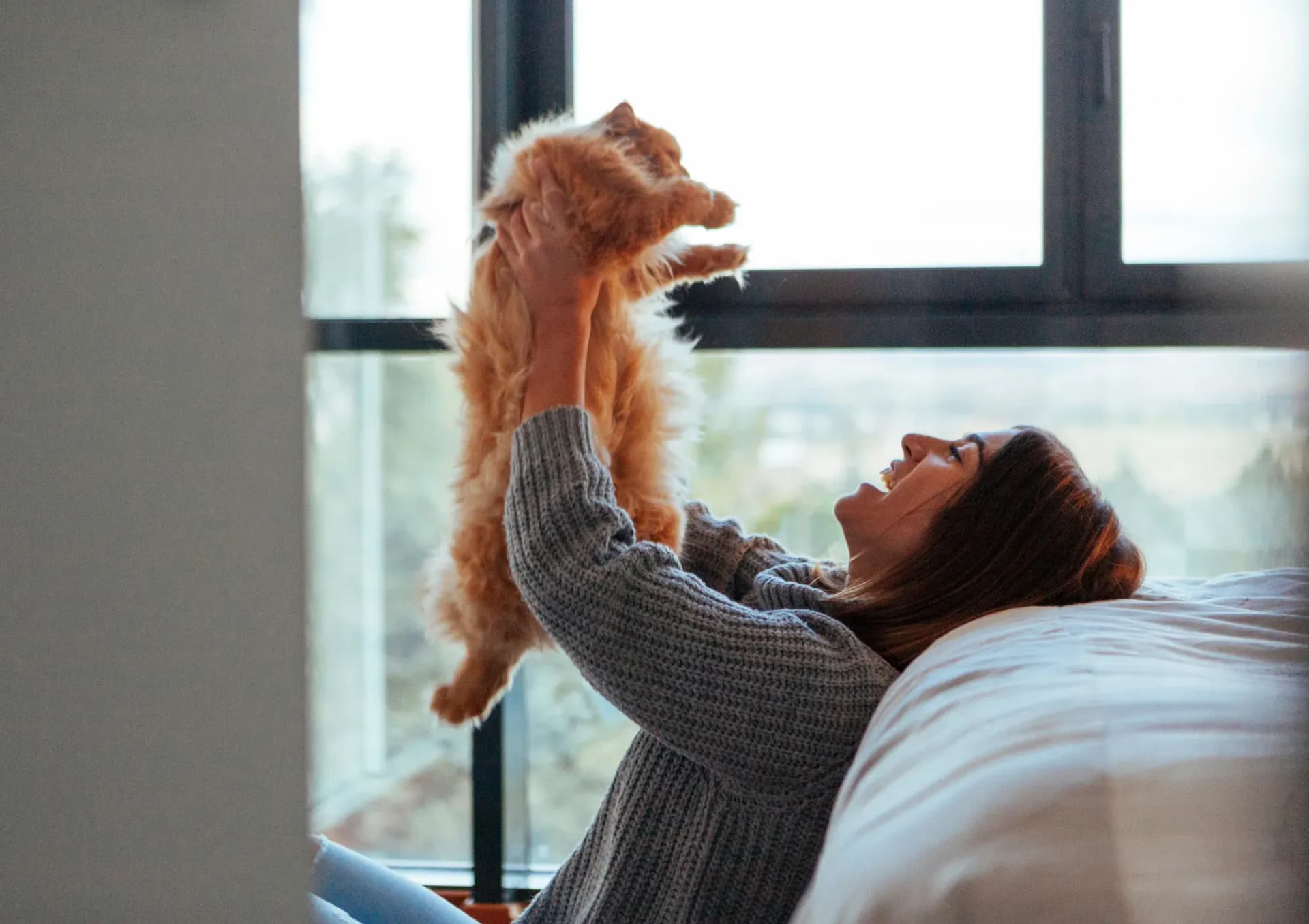 Owner playing with Cat