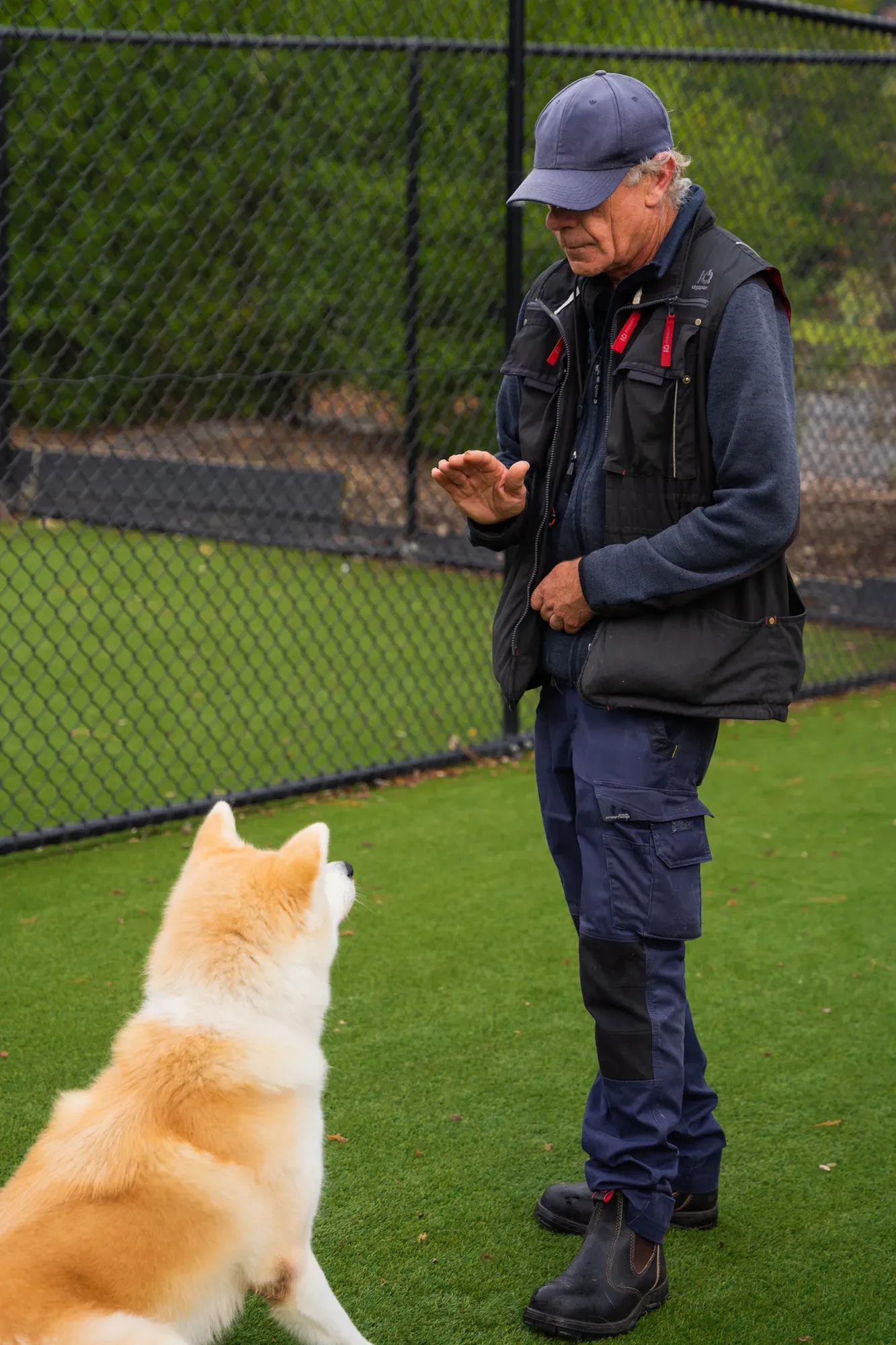 Dog Training Greater Adelaide