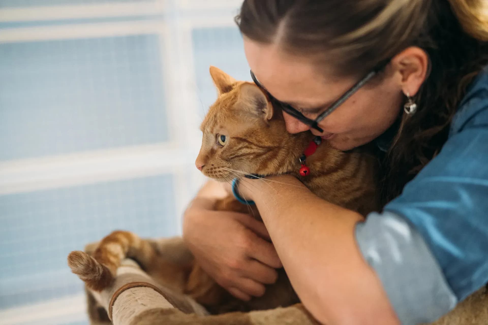 Kip employee giving cuddles to a Cat