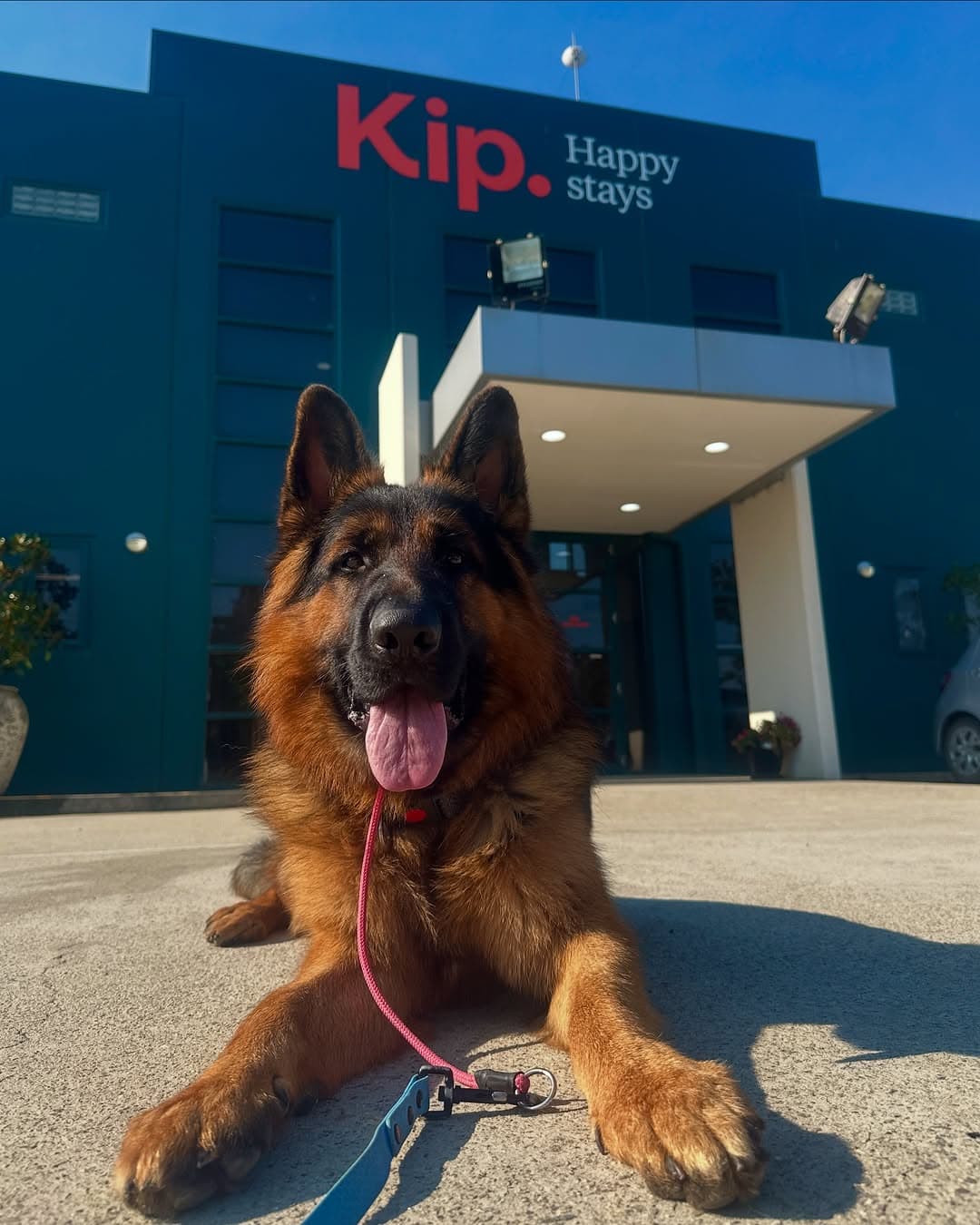 Kip Melbourne South East