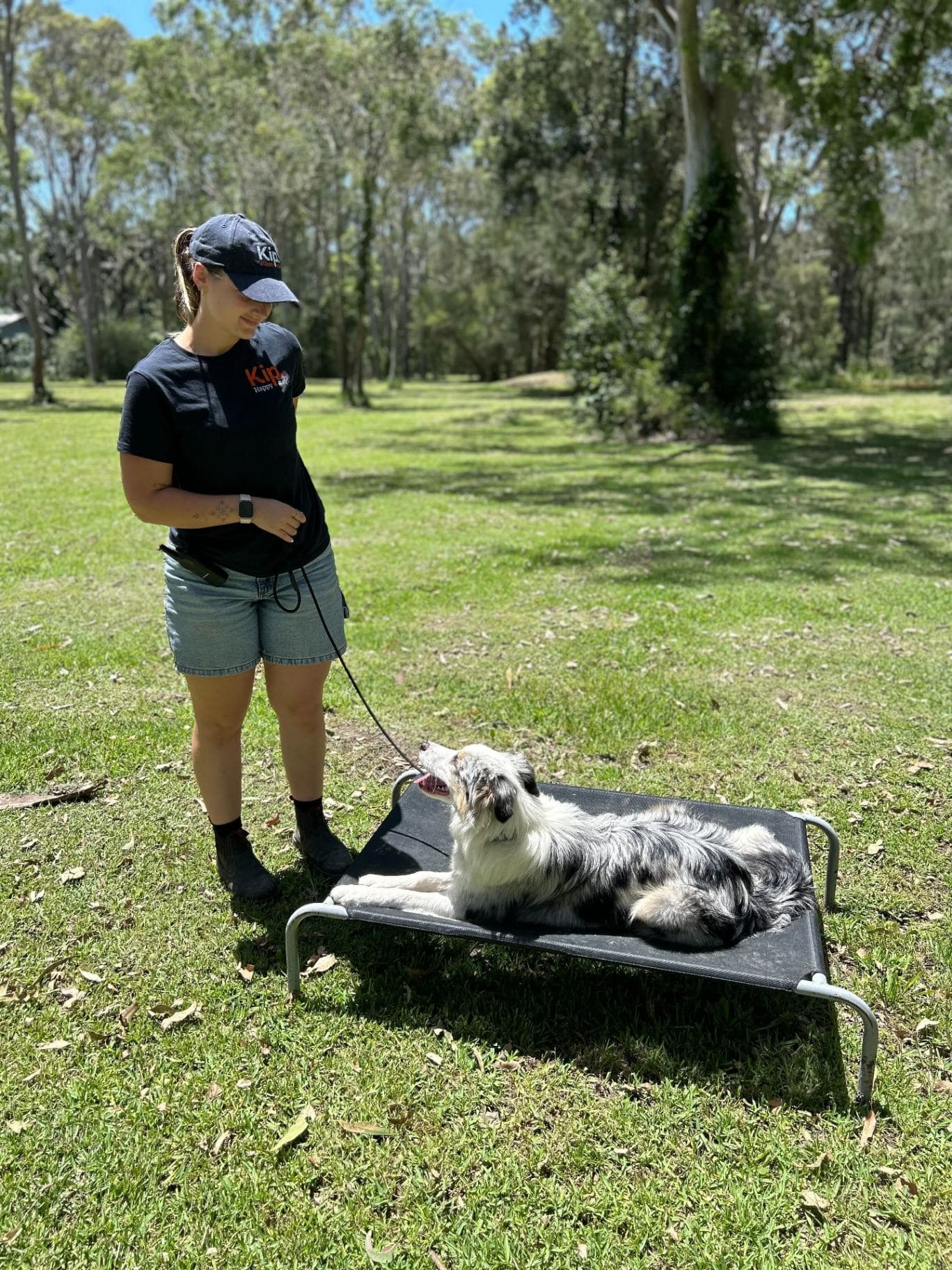 Canine Coaching
