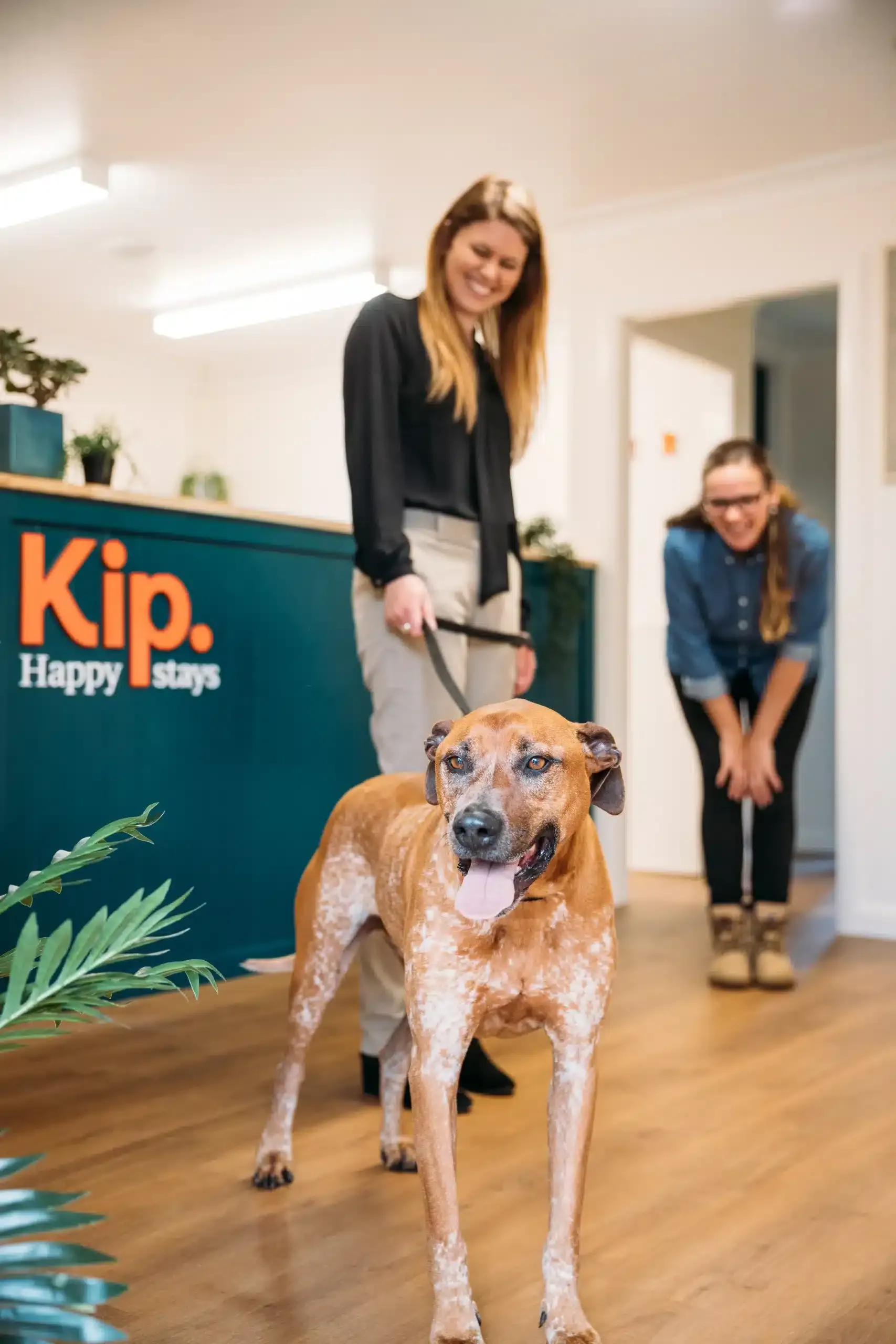 Dog owner at Kip
