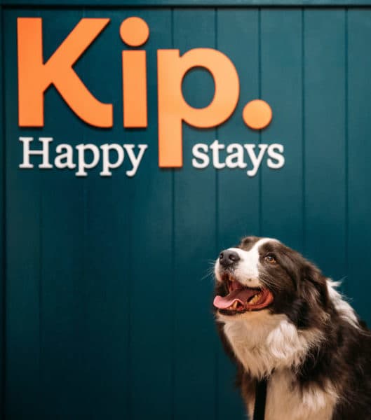 Kip Happy Stays