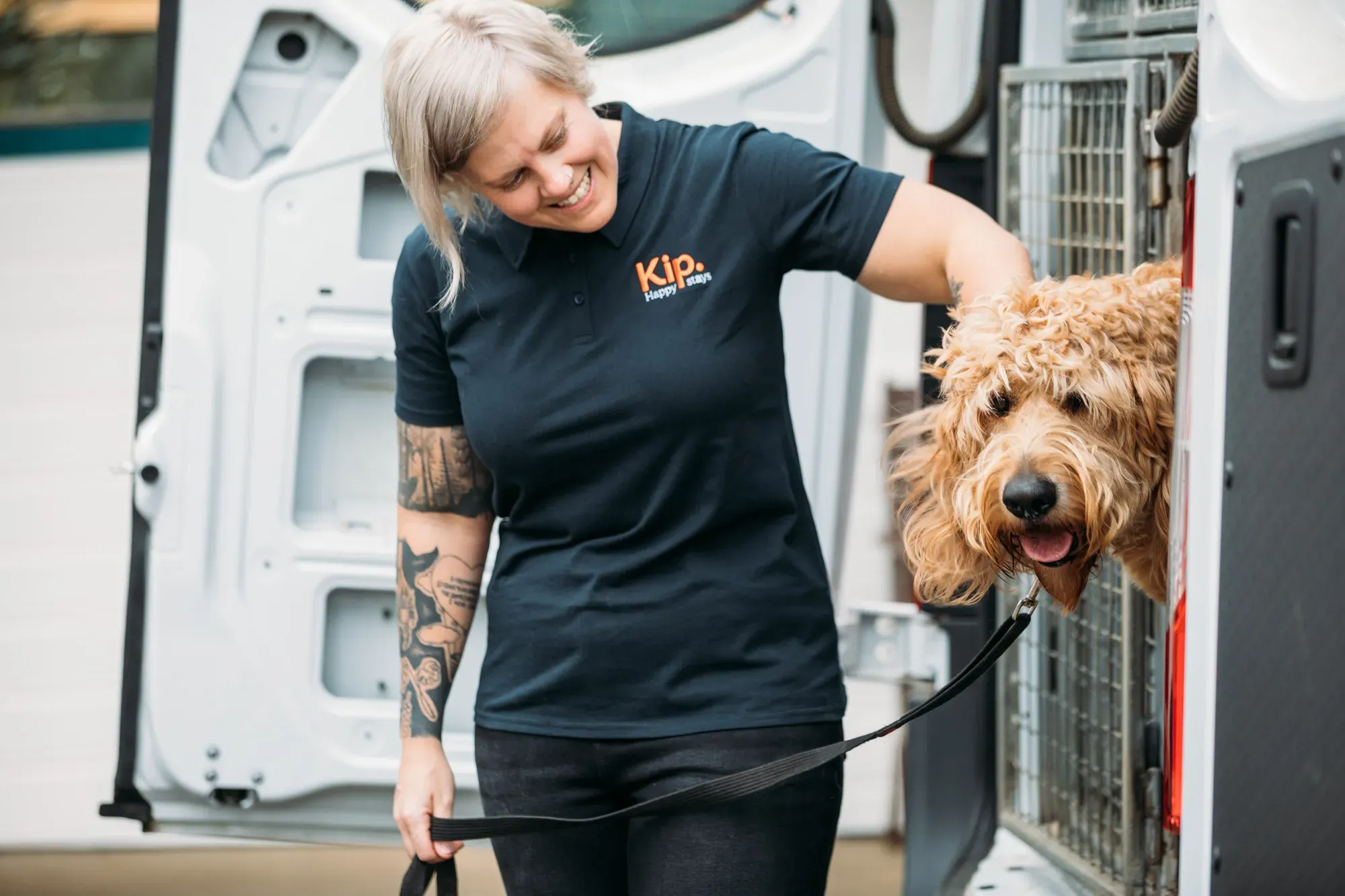 Pet Transport Tasmania