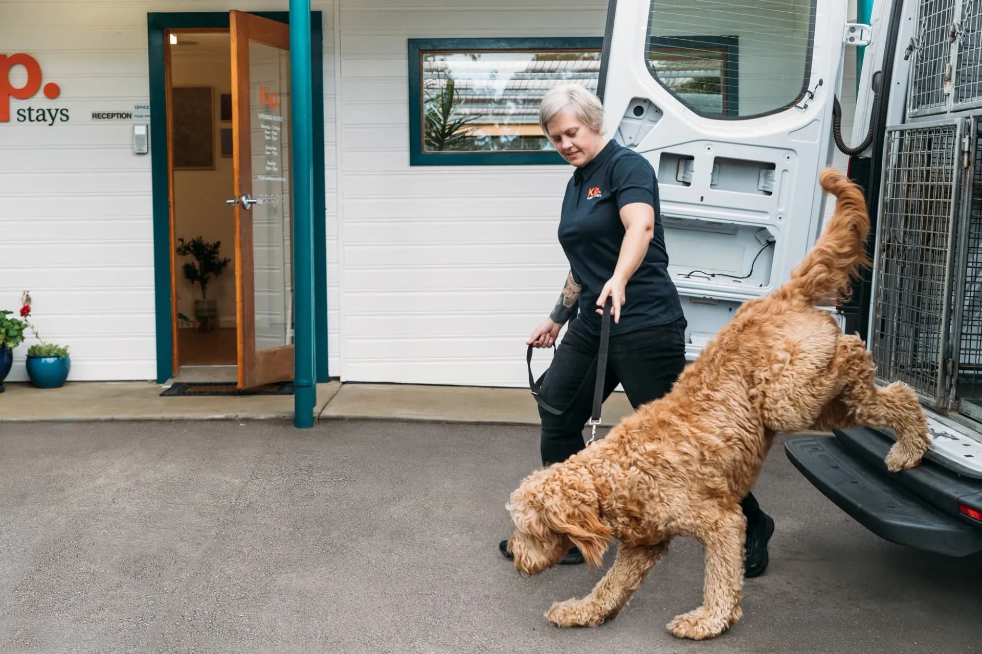 Pet Transport on the Central Coast