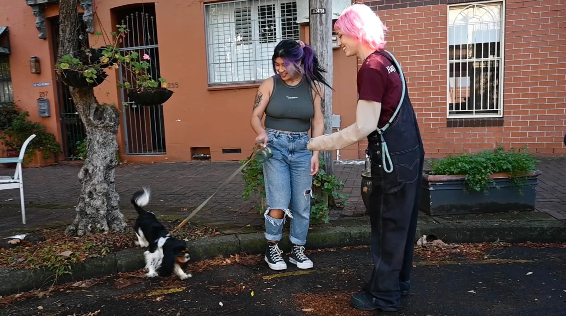 Meet & Greet Your Pet