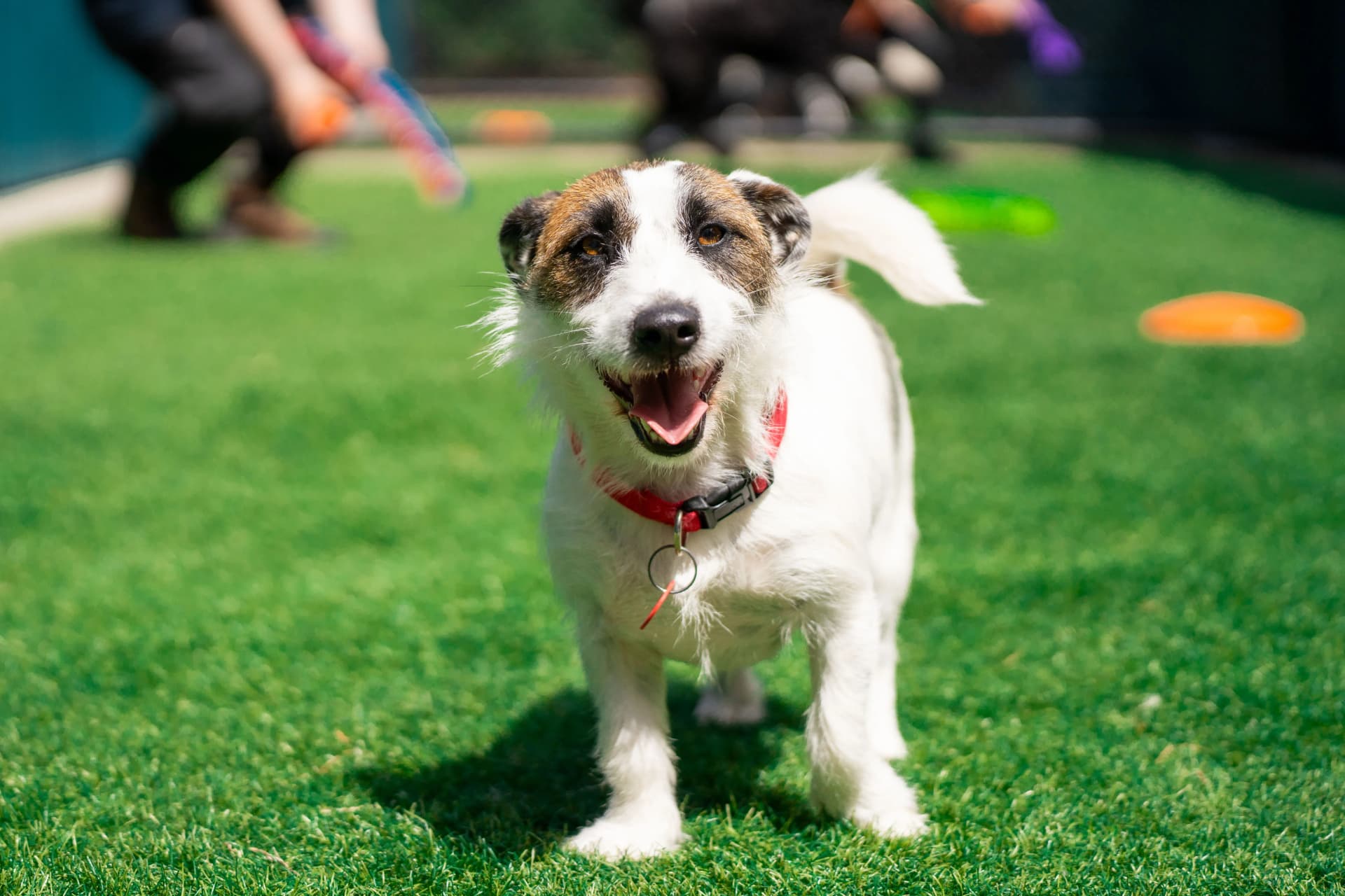 Kip Melbourne South East