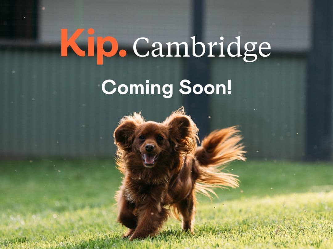 Kip Cambridge is coming soon