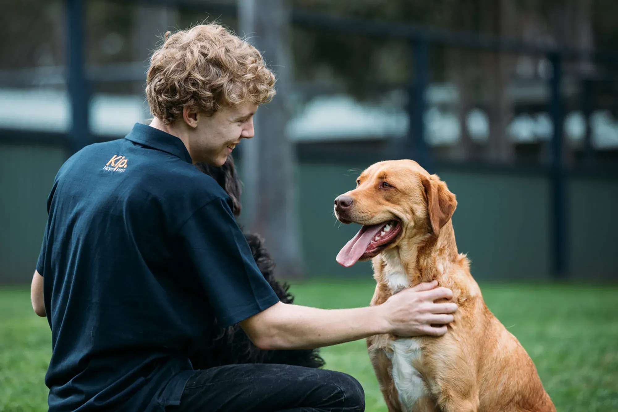 Kip staff petting a dog