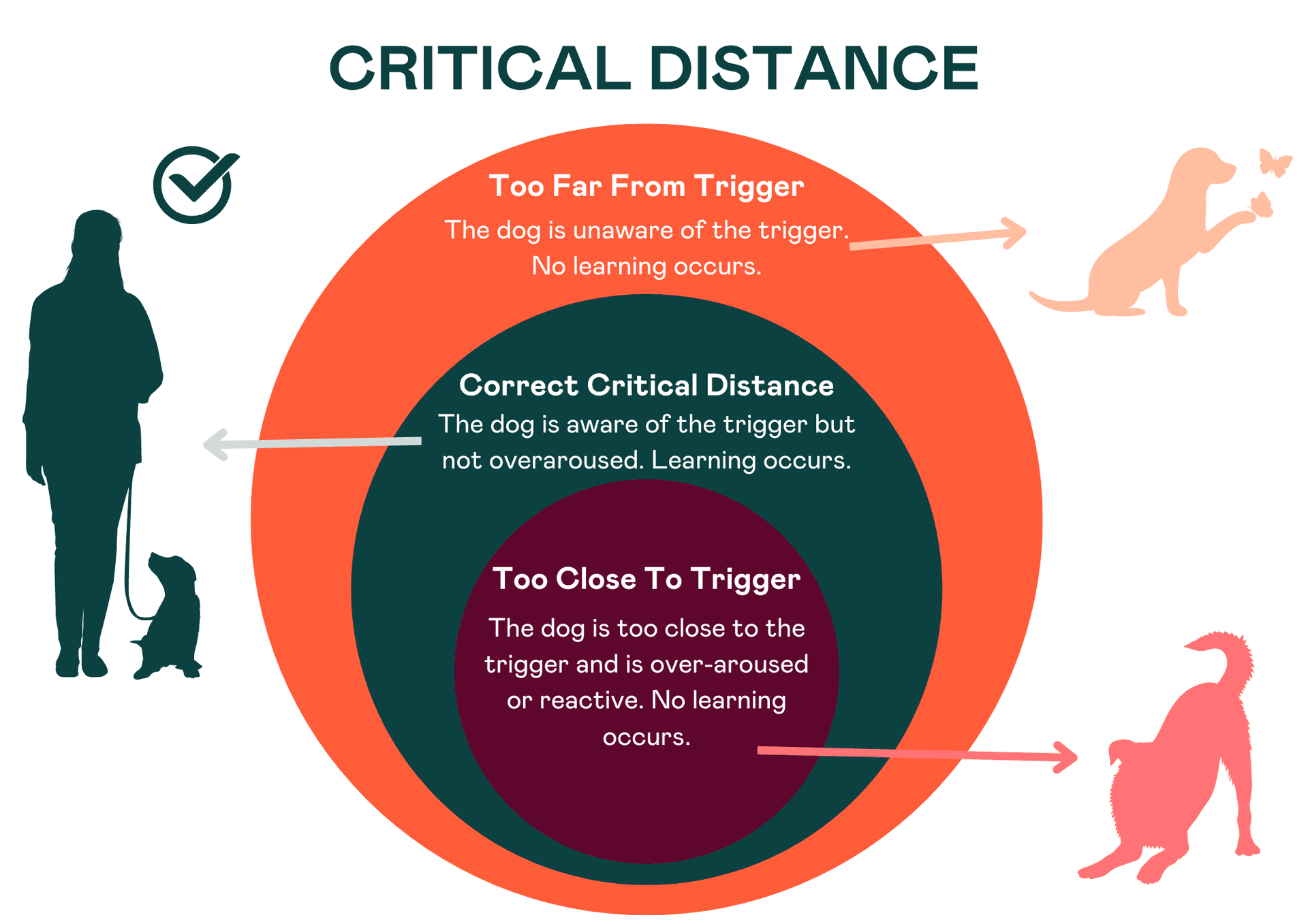 Critical distance chart for dogs