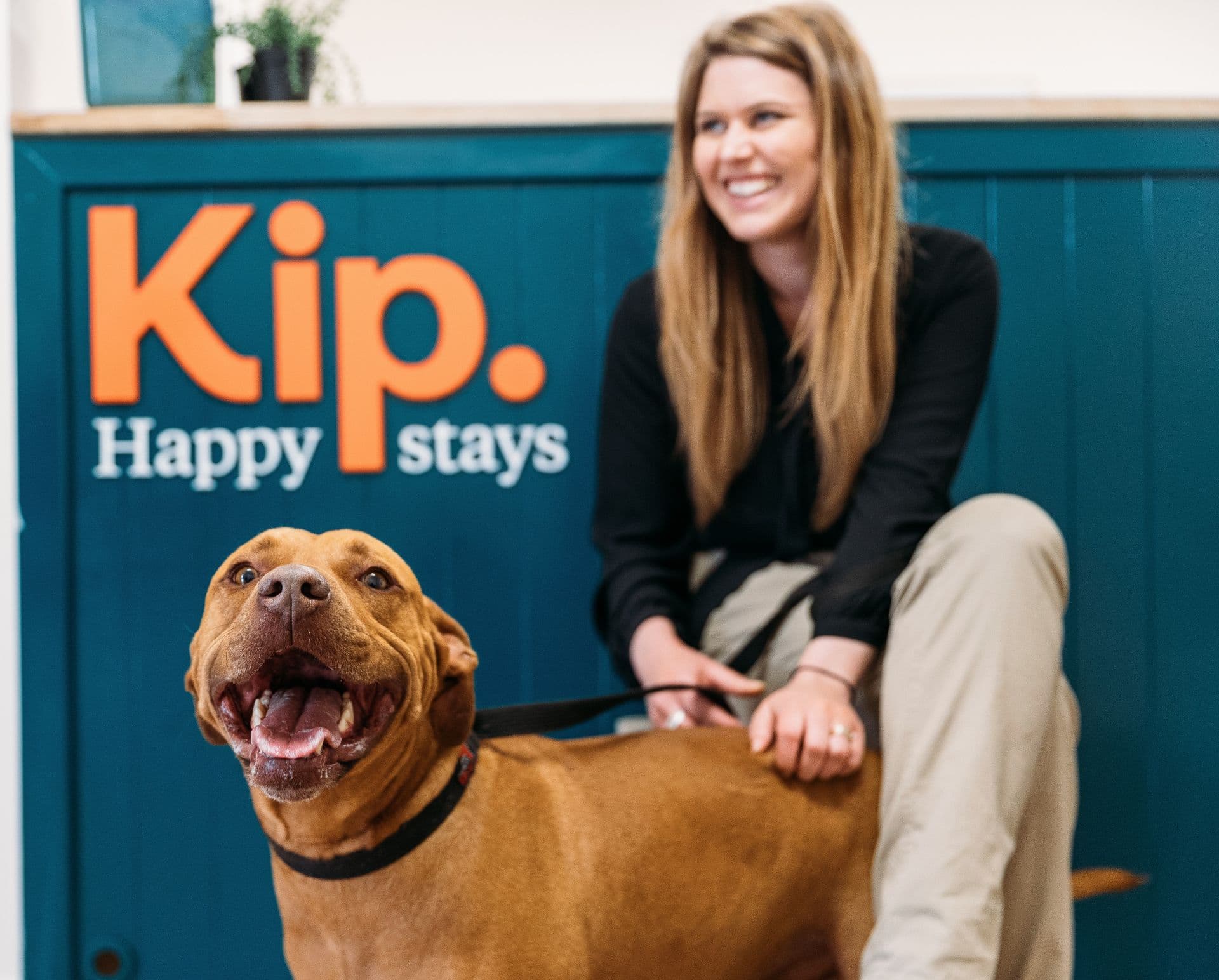 Kip happy stays dog and owner