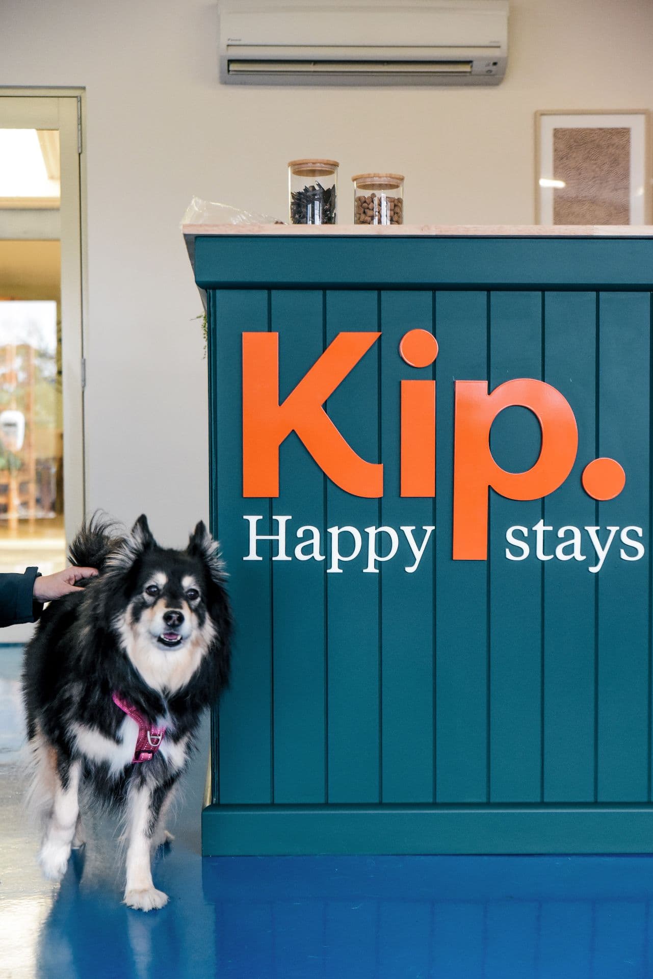 Dog at Kip sign
