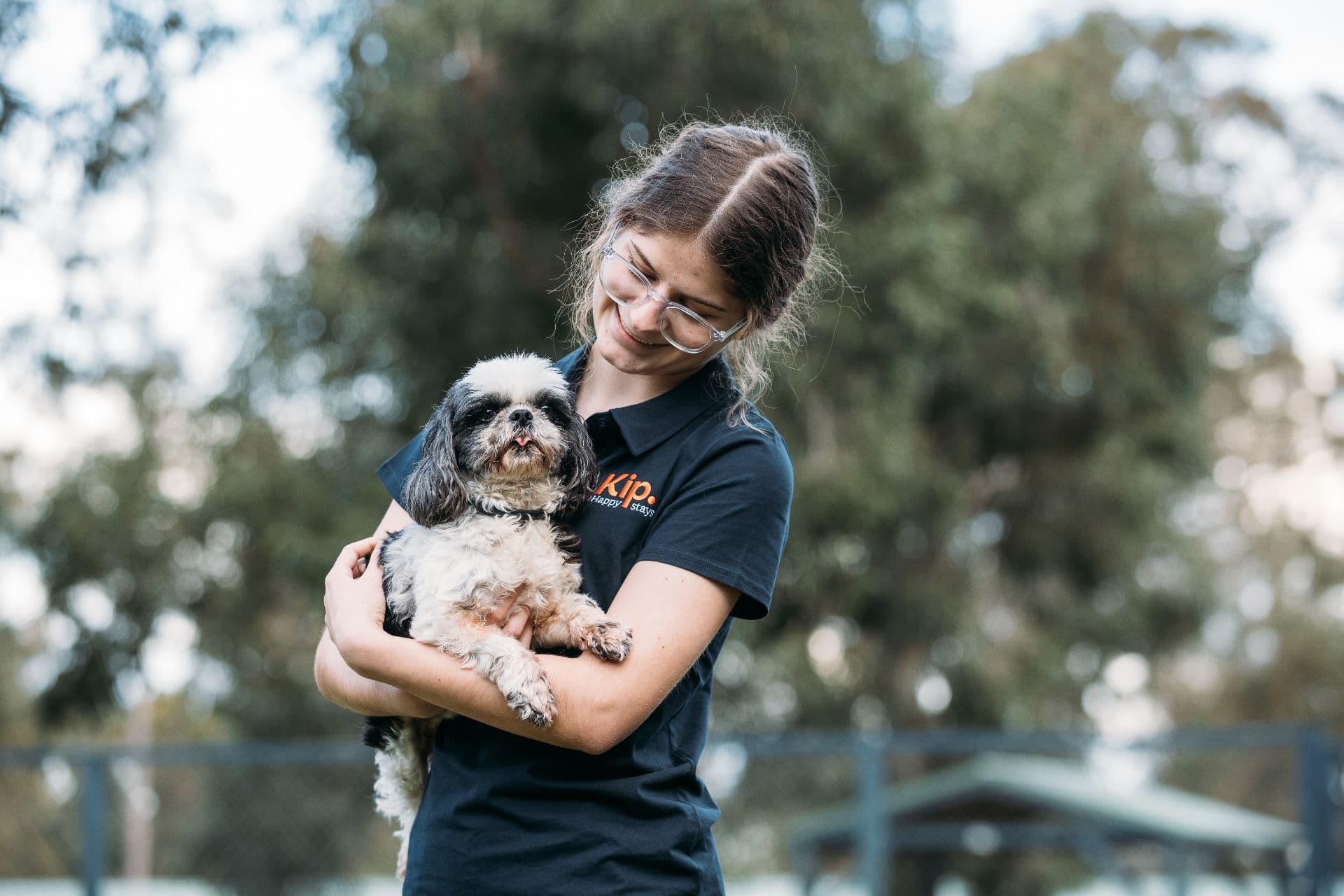 Dog at safe hands