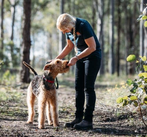 Dog in a forest with Kip employee