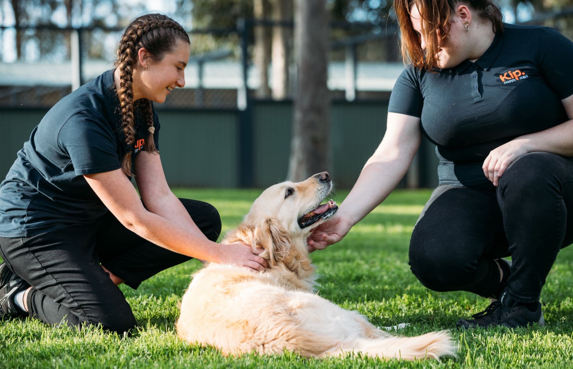 Dog getting petted