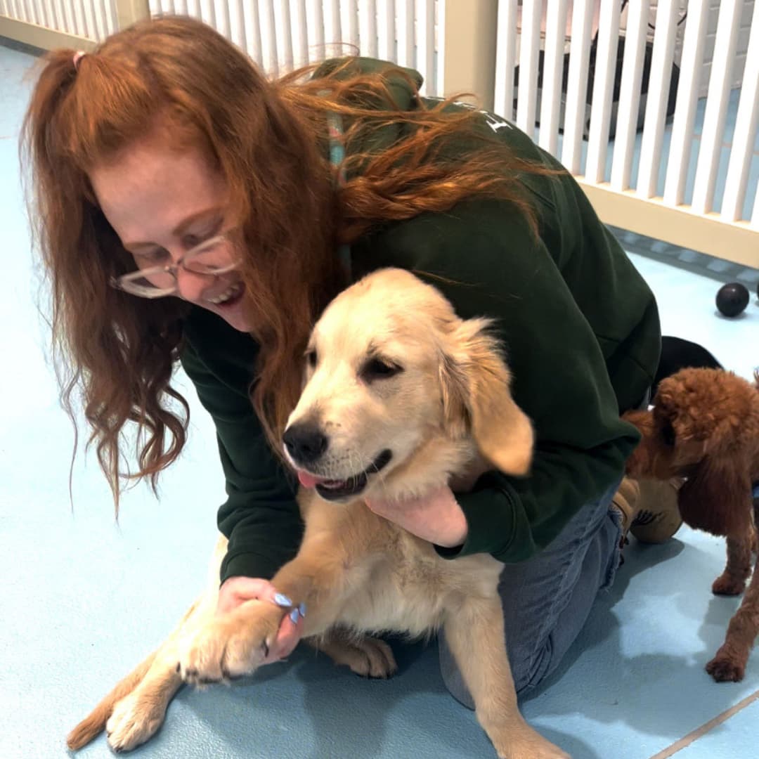 Dog health check