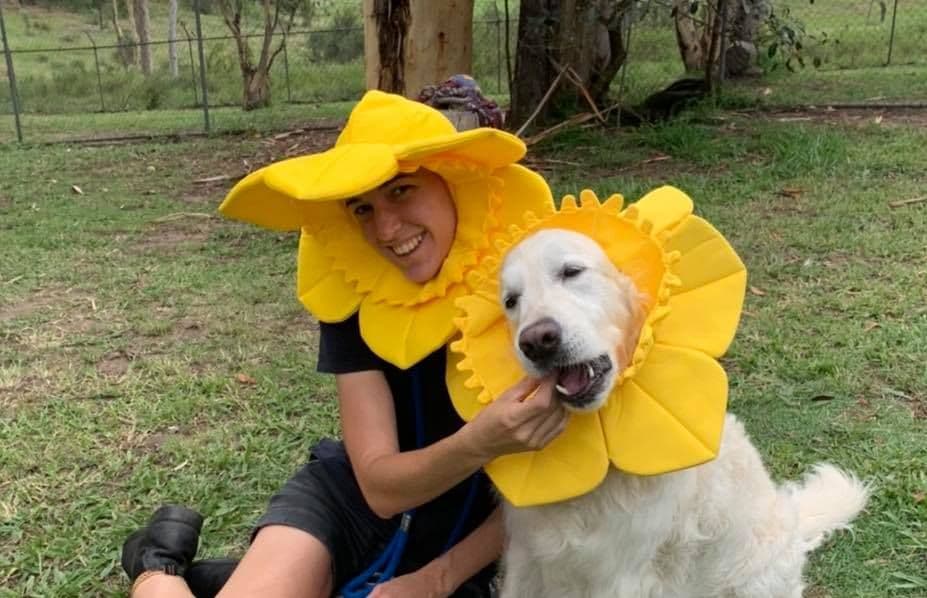 Dog in flower costume