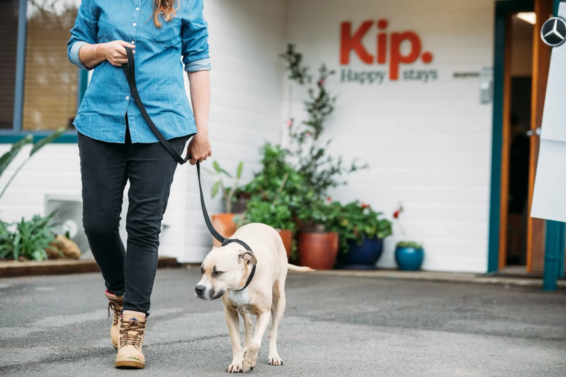Dog leaving Kip