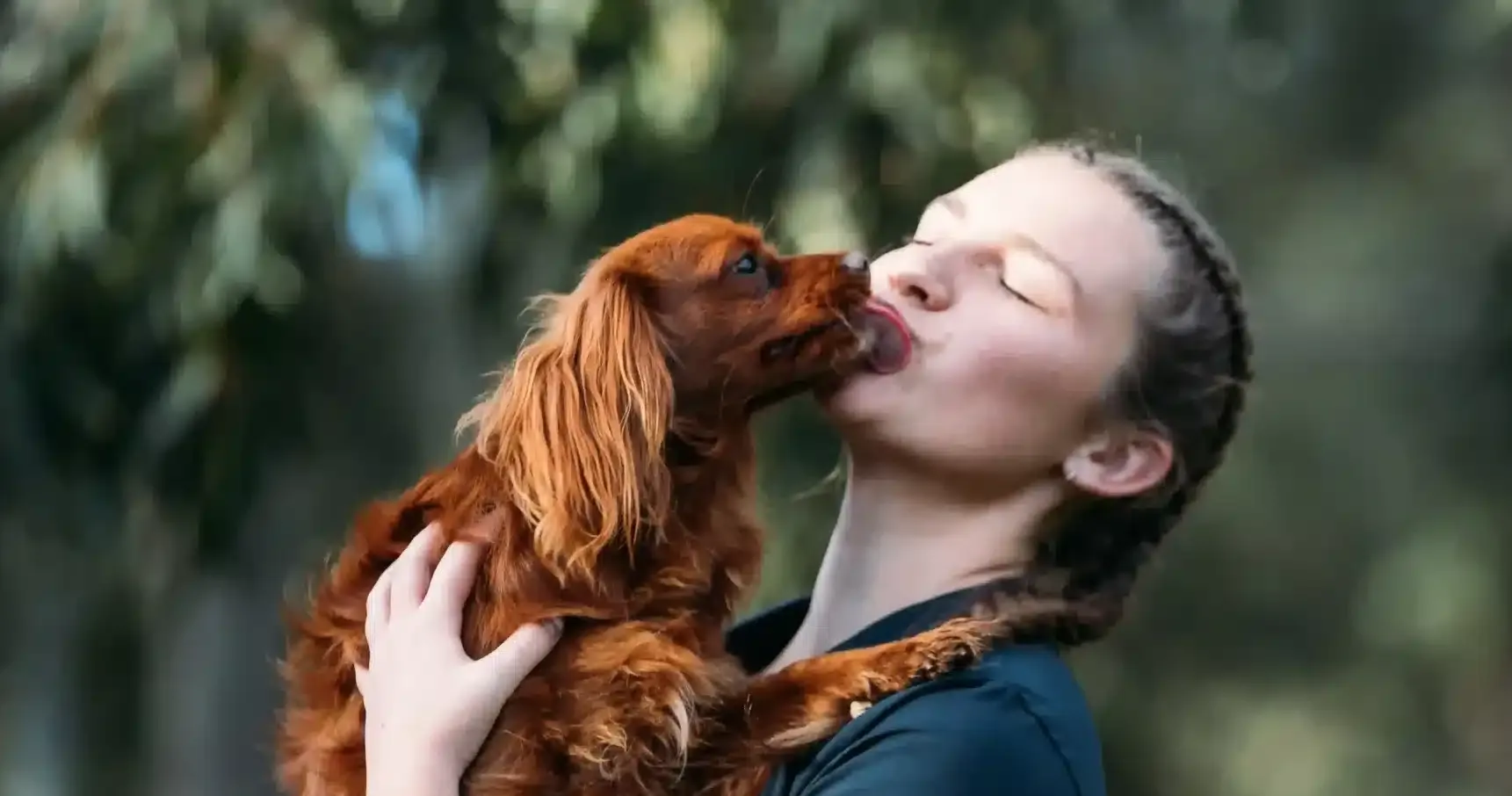 Dog licking Kip staff
