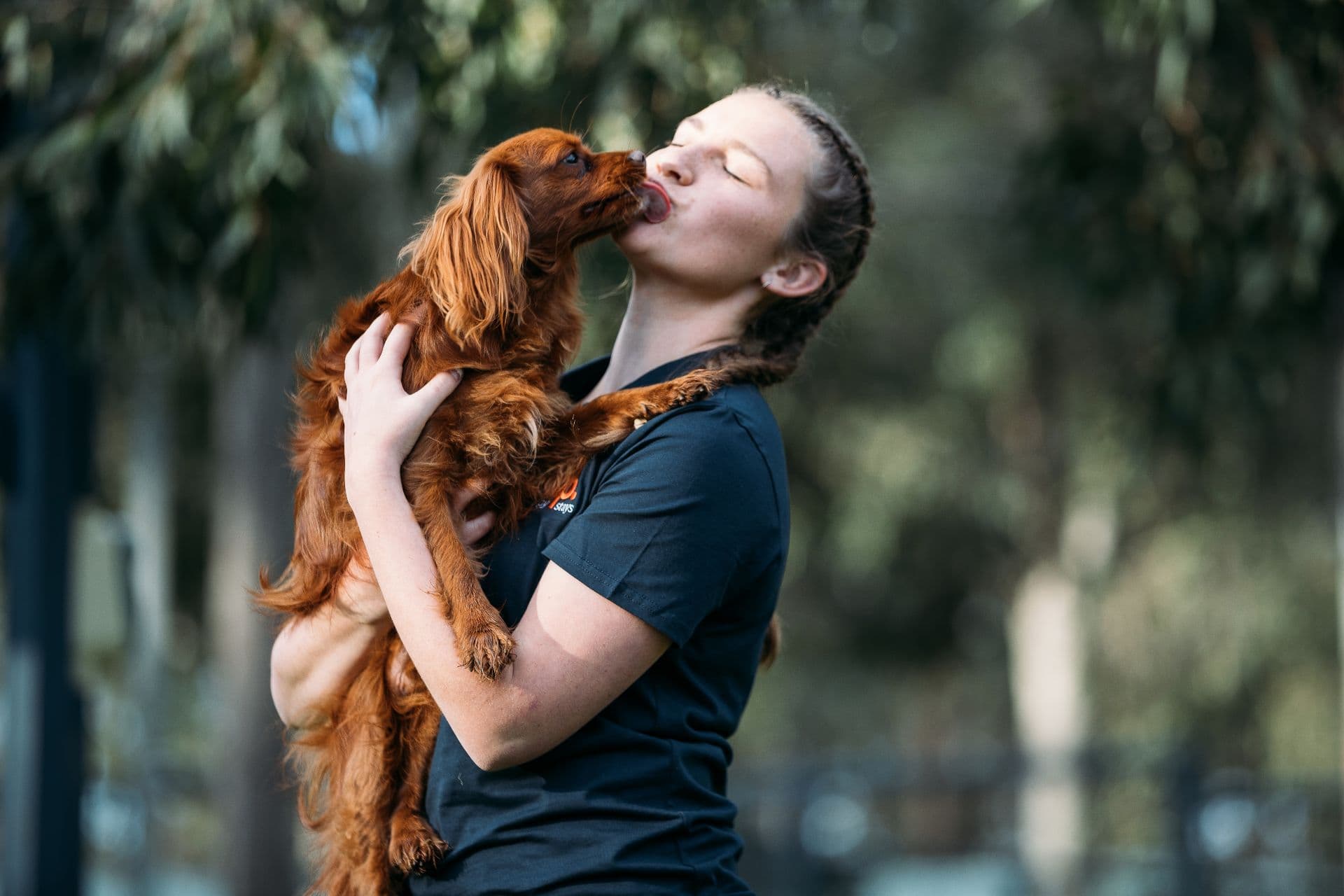 Dog licks their carer while the carer holds them