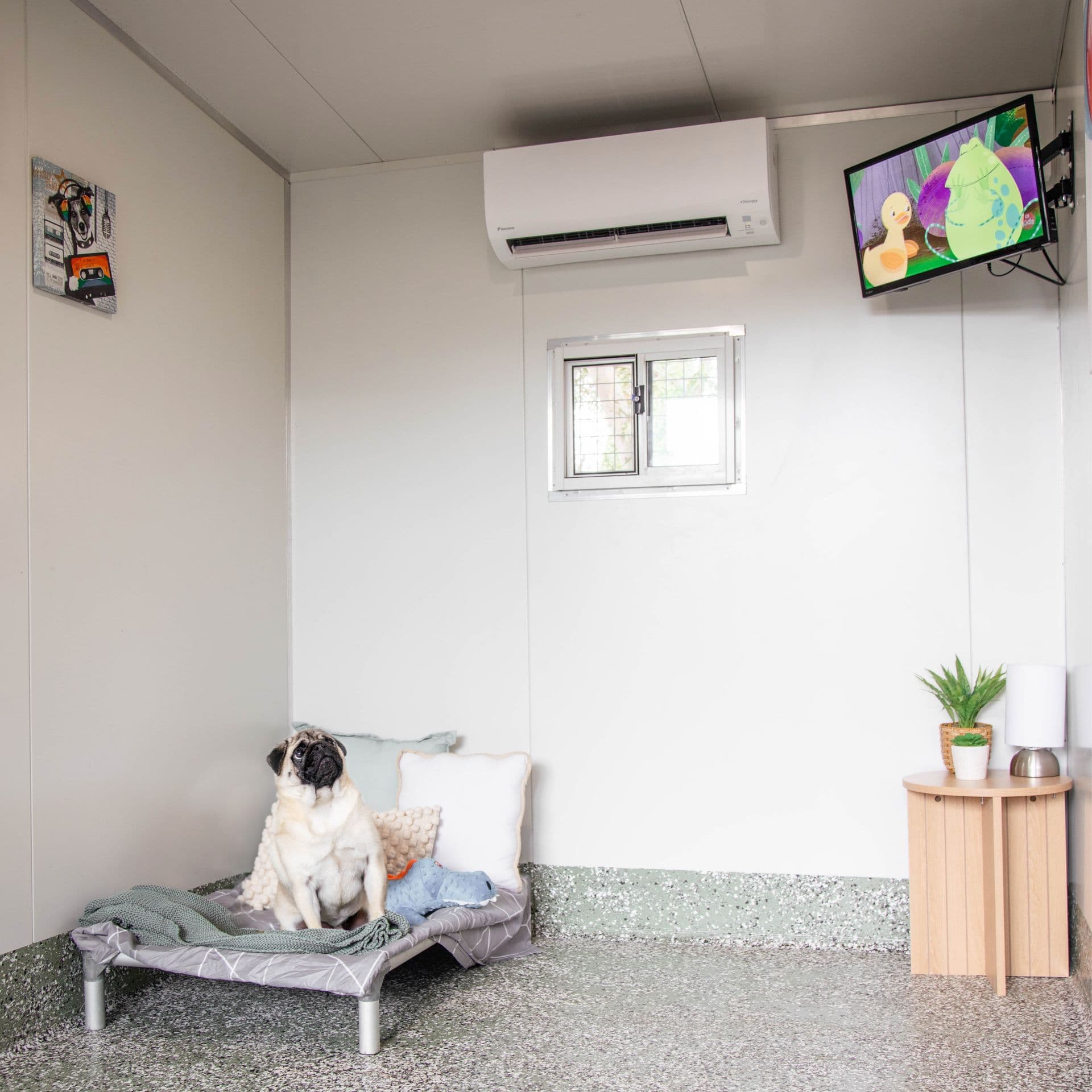 Dog Luxury Villa