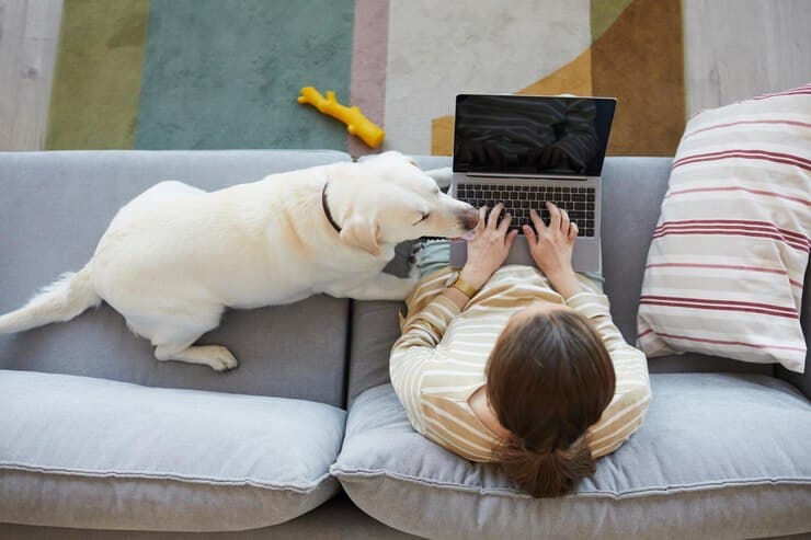 Owner and dog on couch while owner books dogs stay at Kip