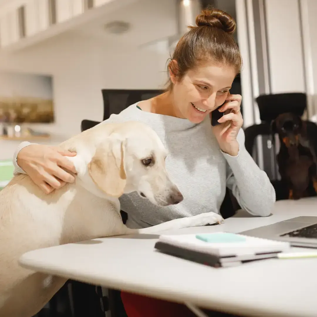 Dog owner answering phone call
