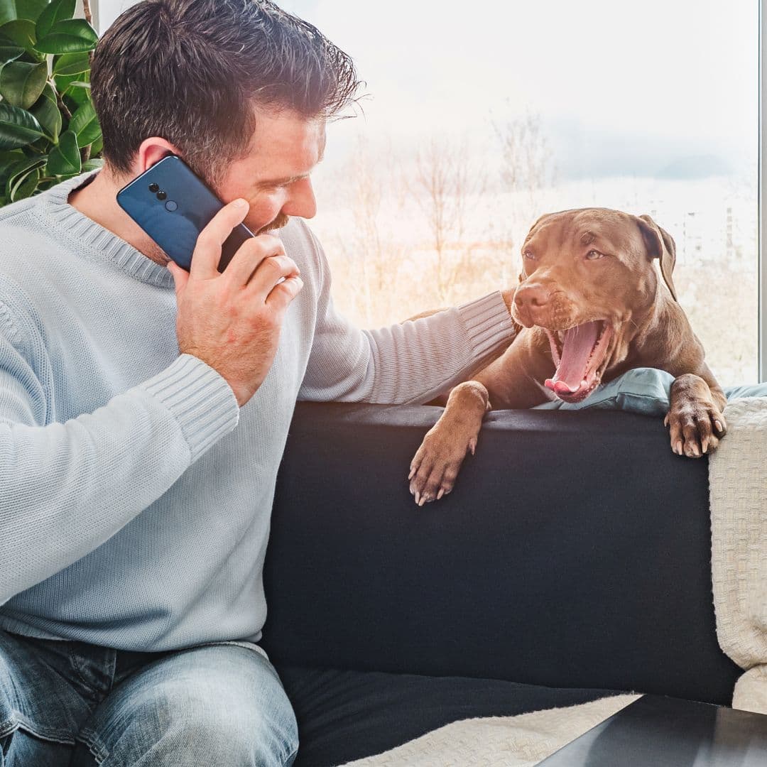 Dog owner on phone call