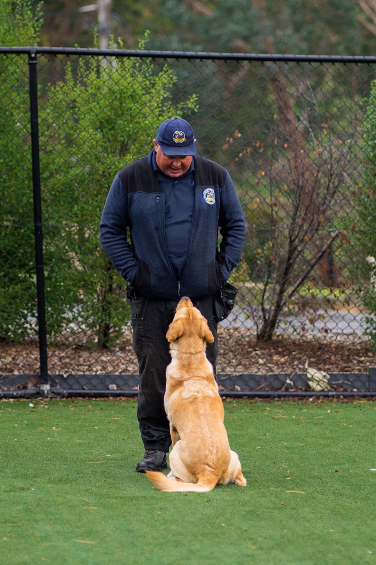 Dog practicing sitting with dog trainer