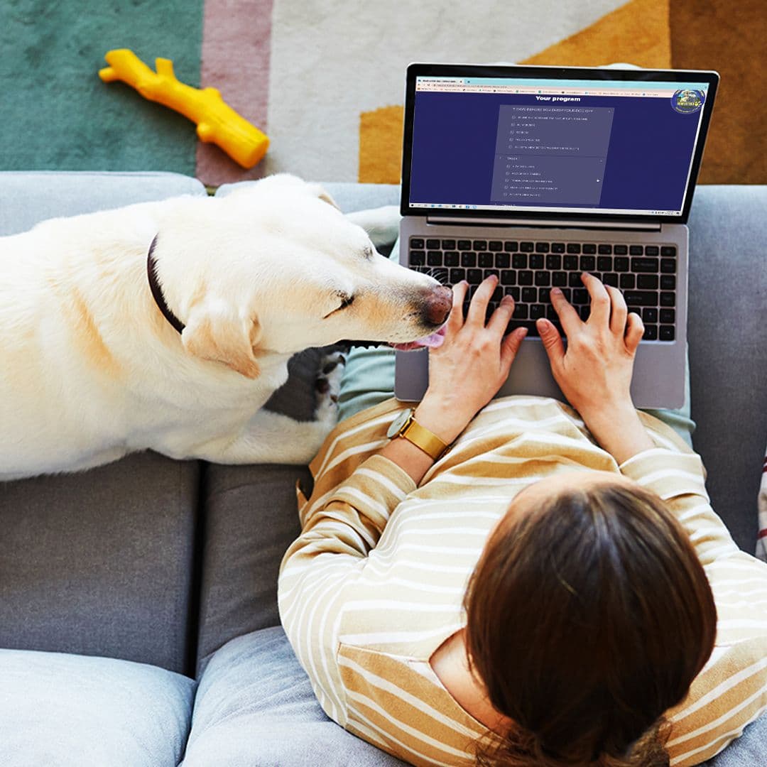 Woman laying on couch filling dog training results