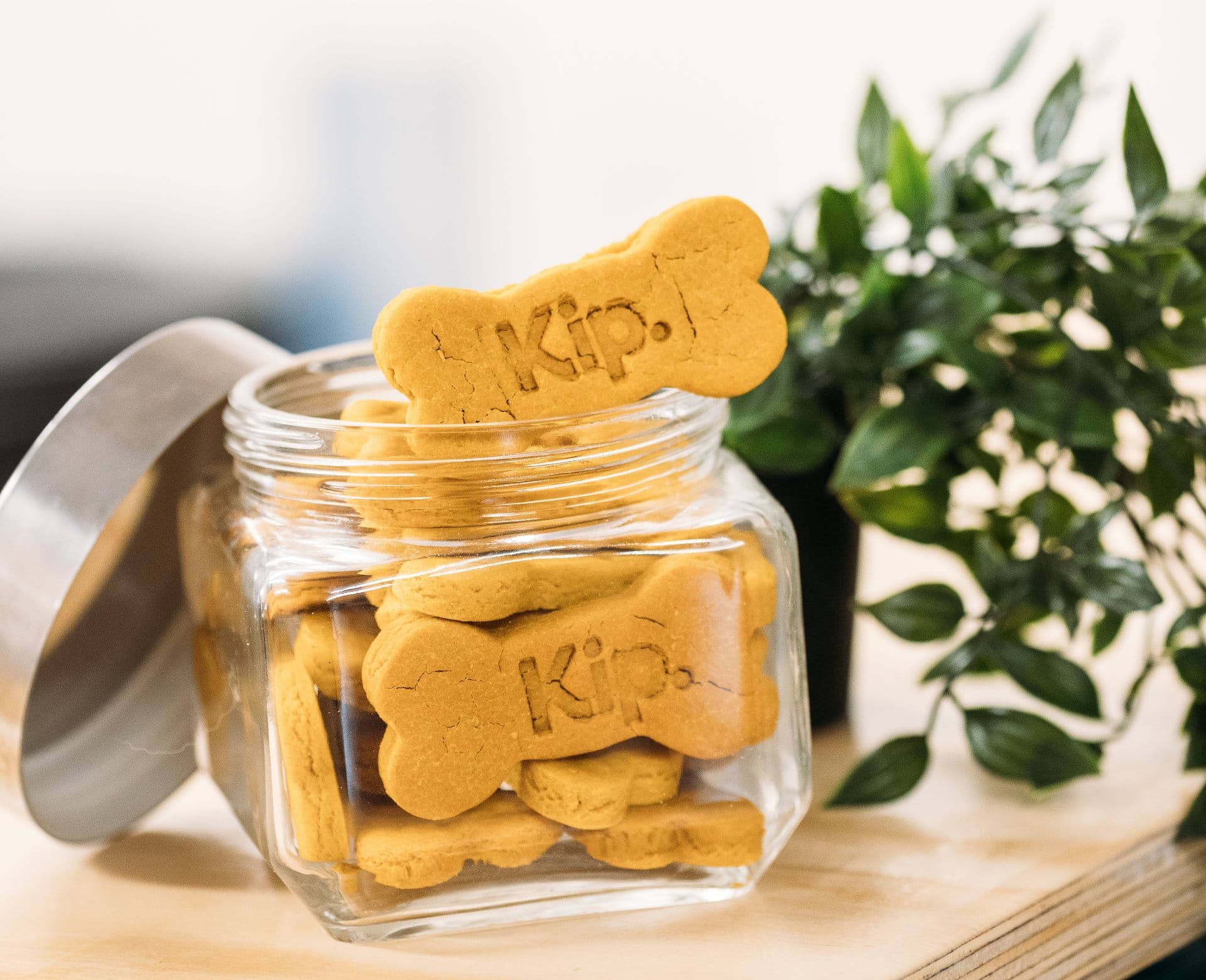 Kip branded dog treats