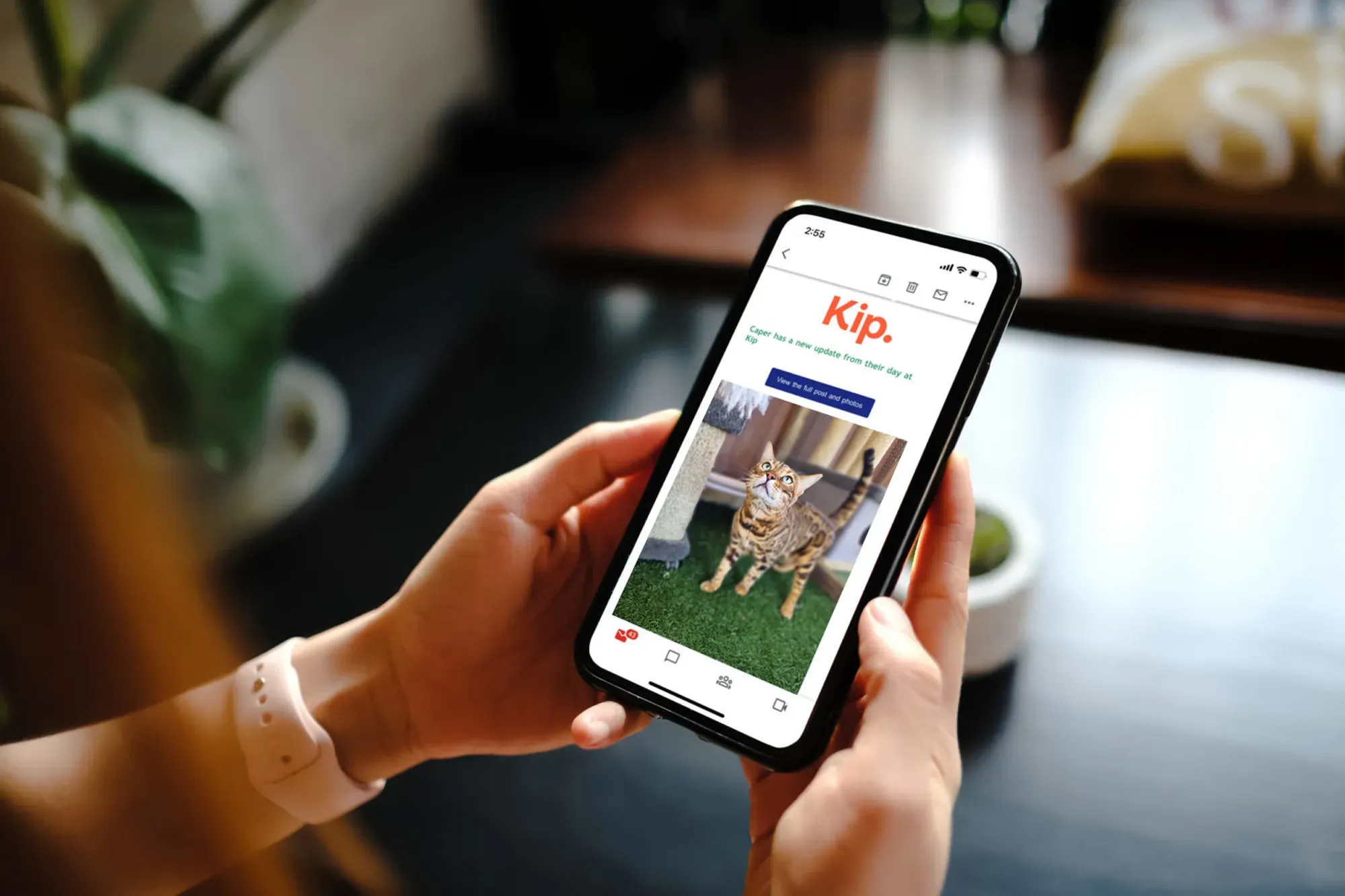 Stay in the loop with what your dog is up to with regular photo/video updates directly in your personalised Customer Portal.