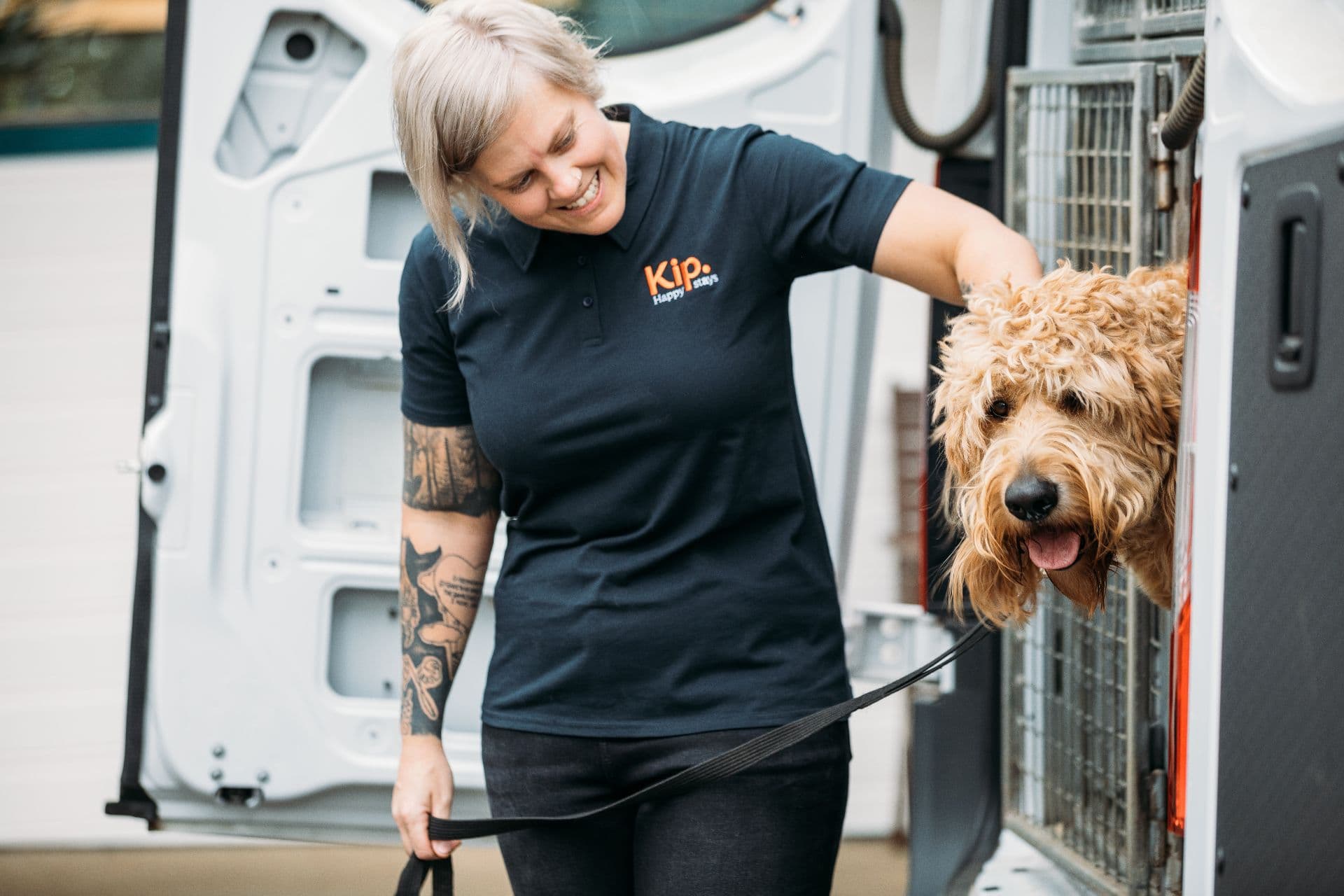 Dog entering Kip