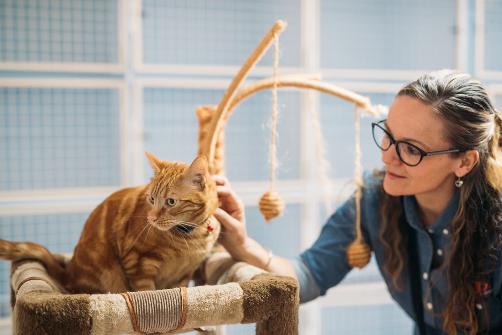 Kip employee playing with a cat