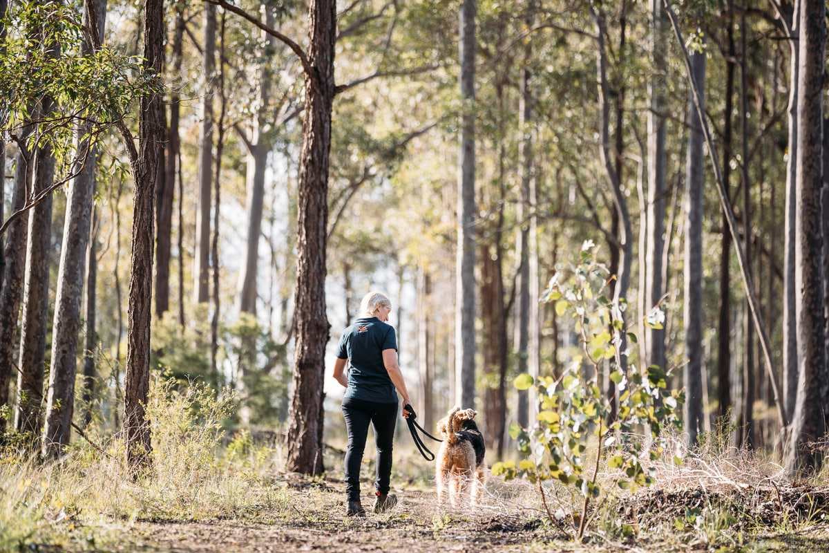 Kip employee walking with a dog outdoors in a forest