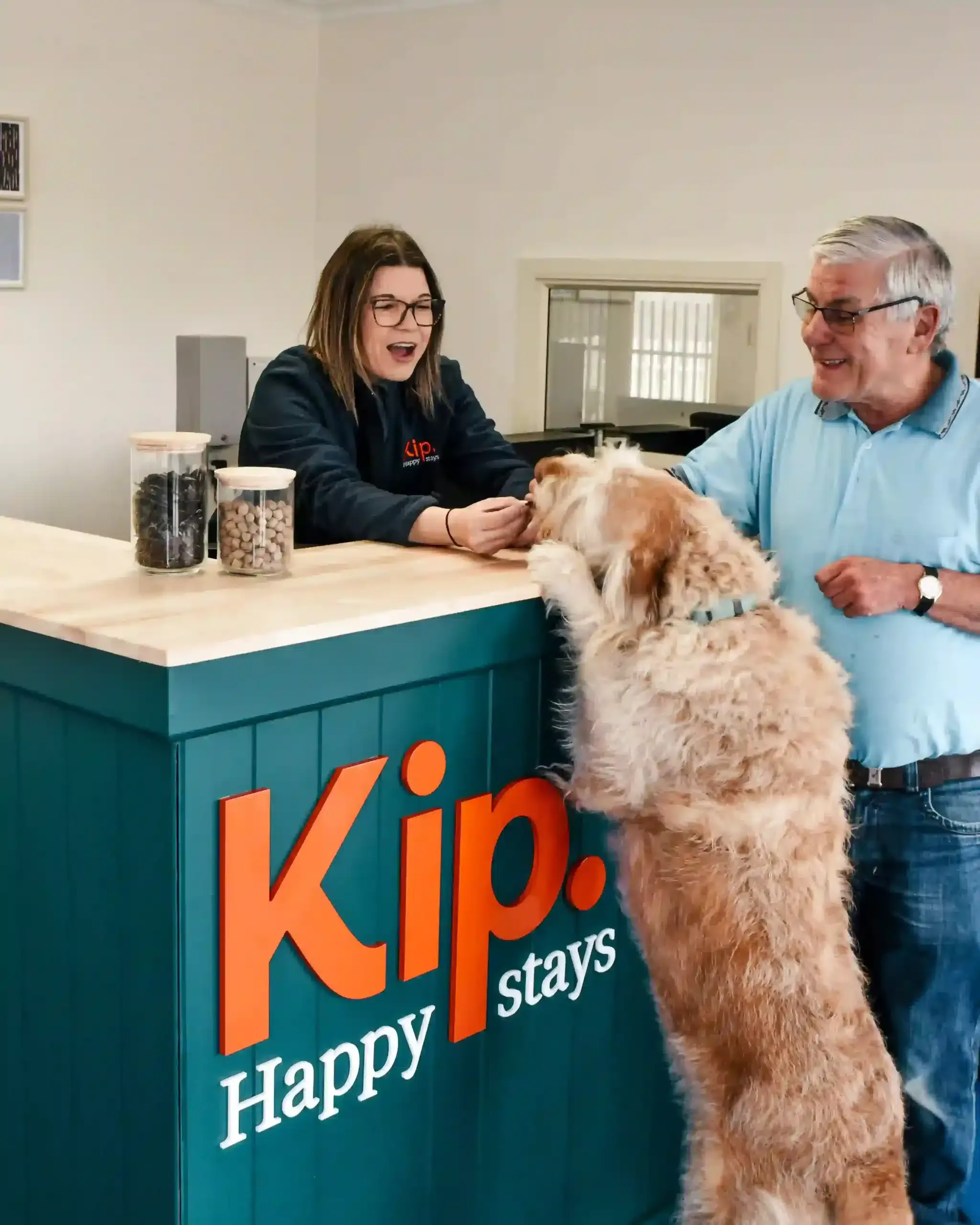 Kip check-in arrival for dog
