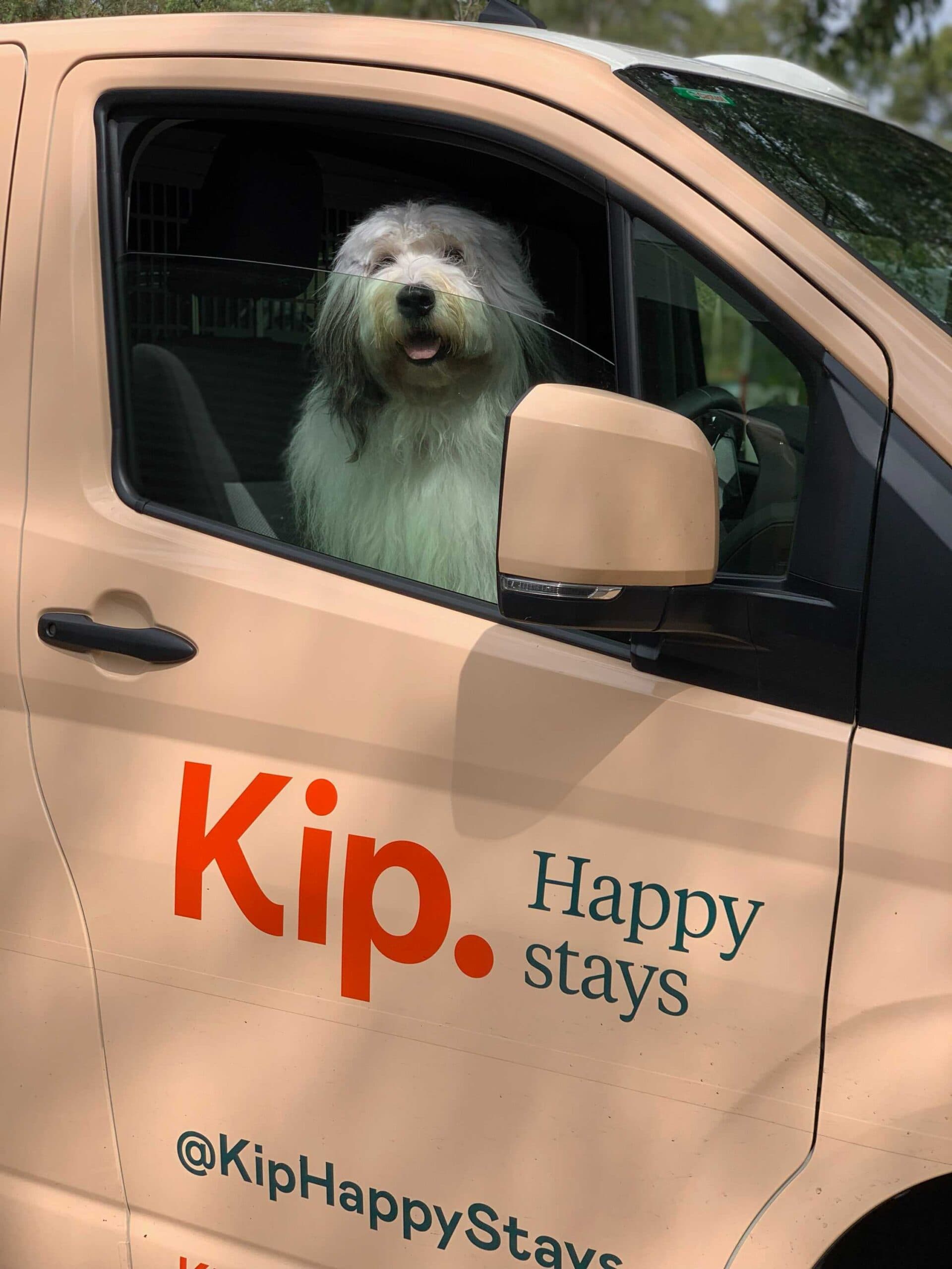 Dog in dog transport van