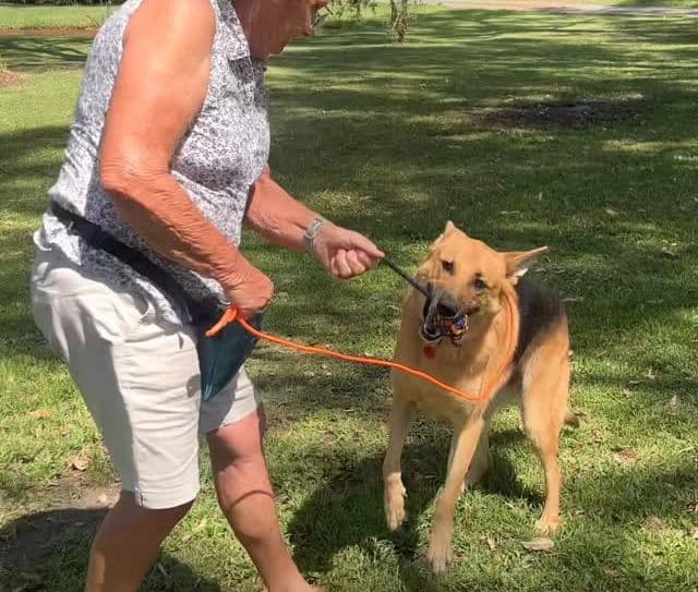Kip dog training