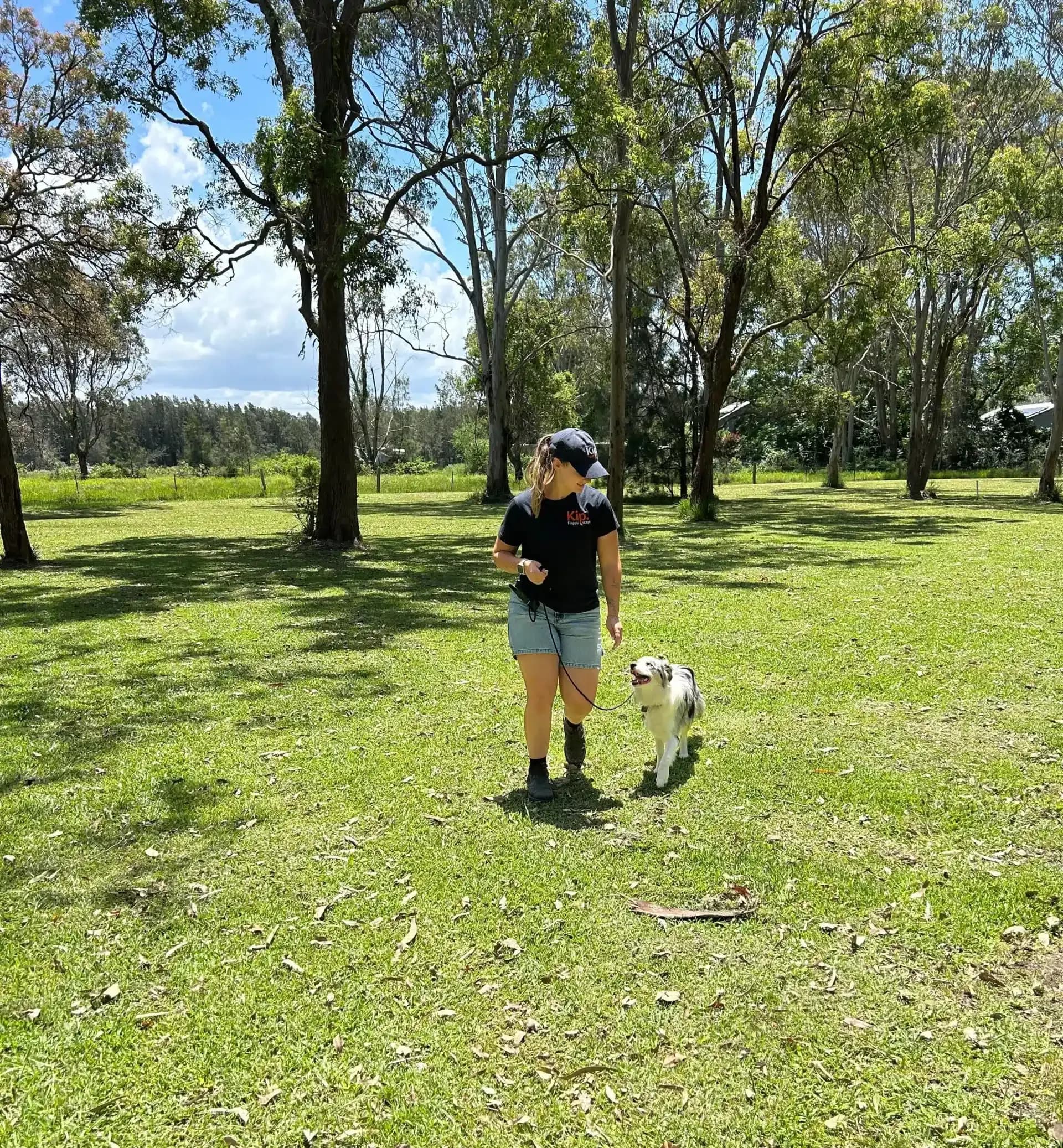 Kip dog walk