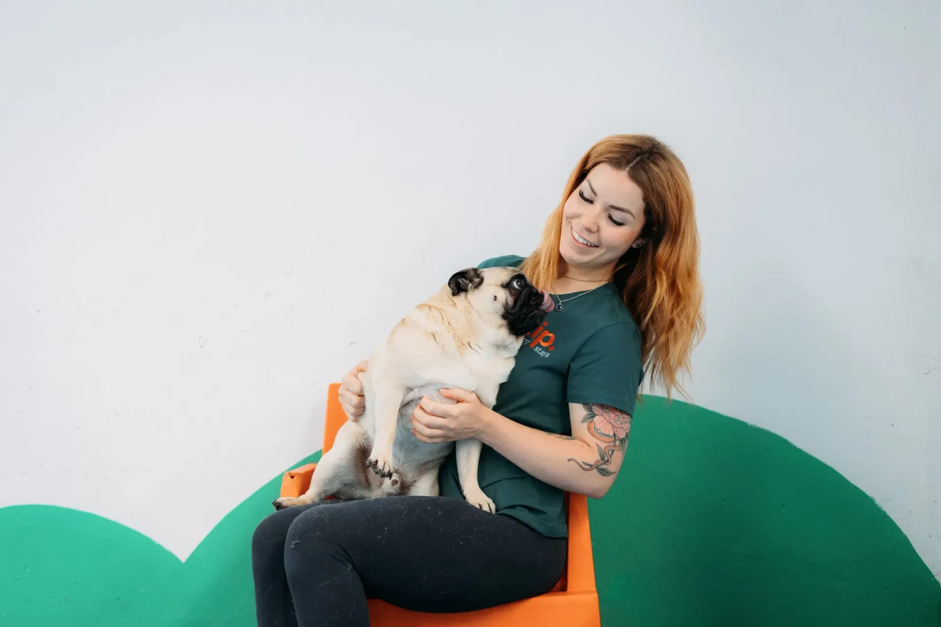 Kip employee inspecting a dog