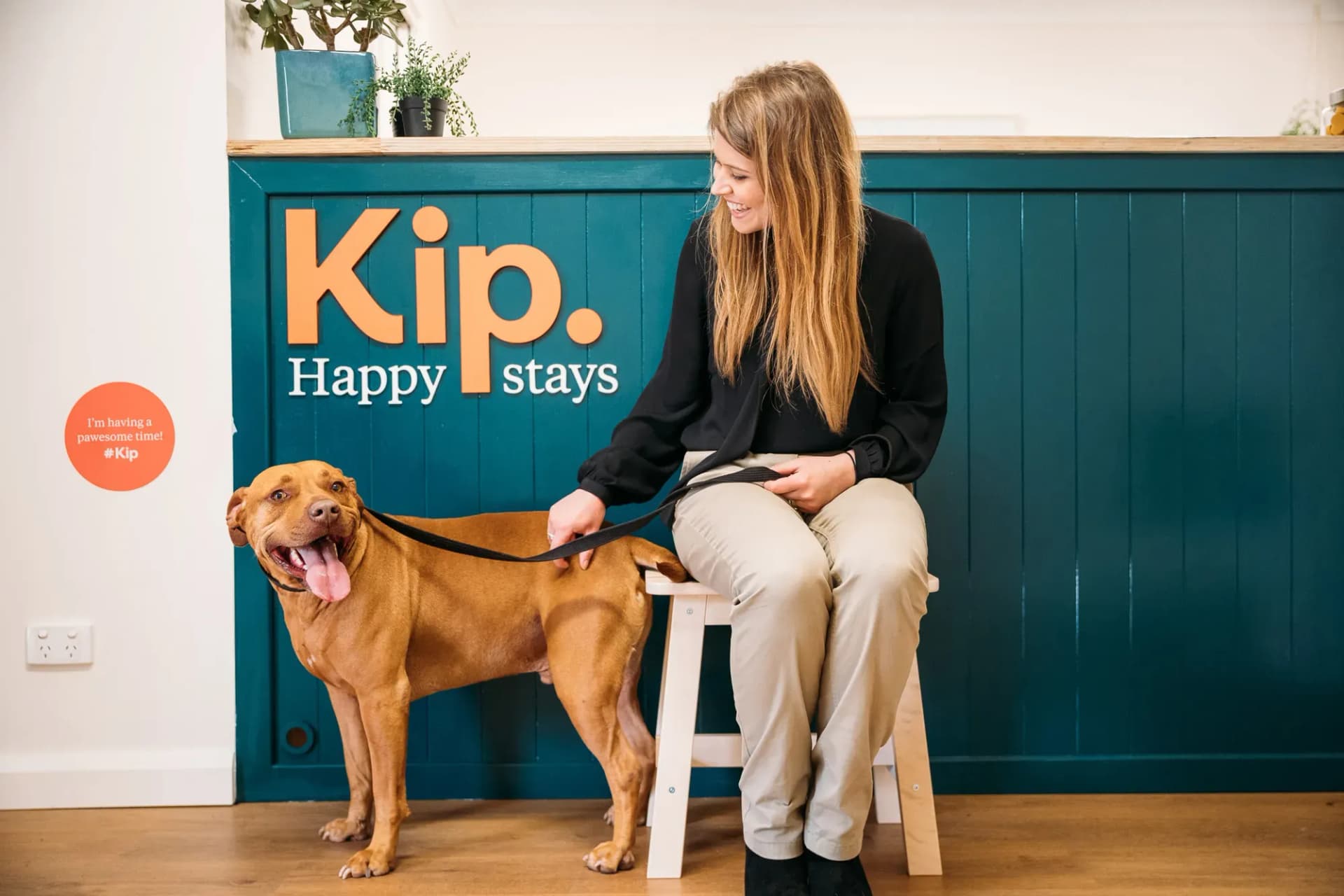 Kip Happy stays logo behind a woman with a dog