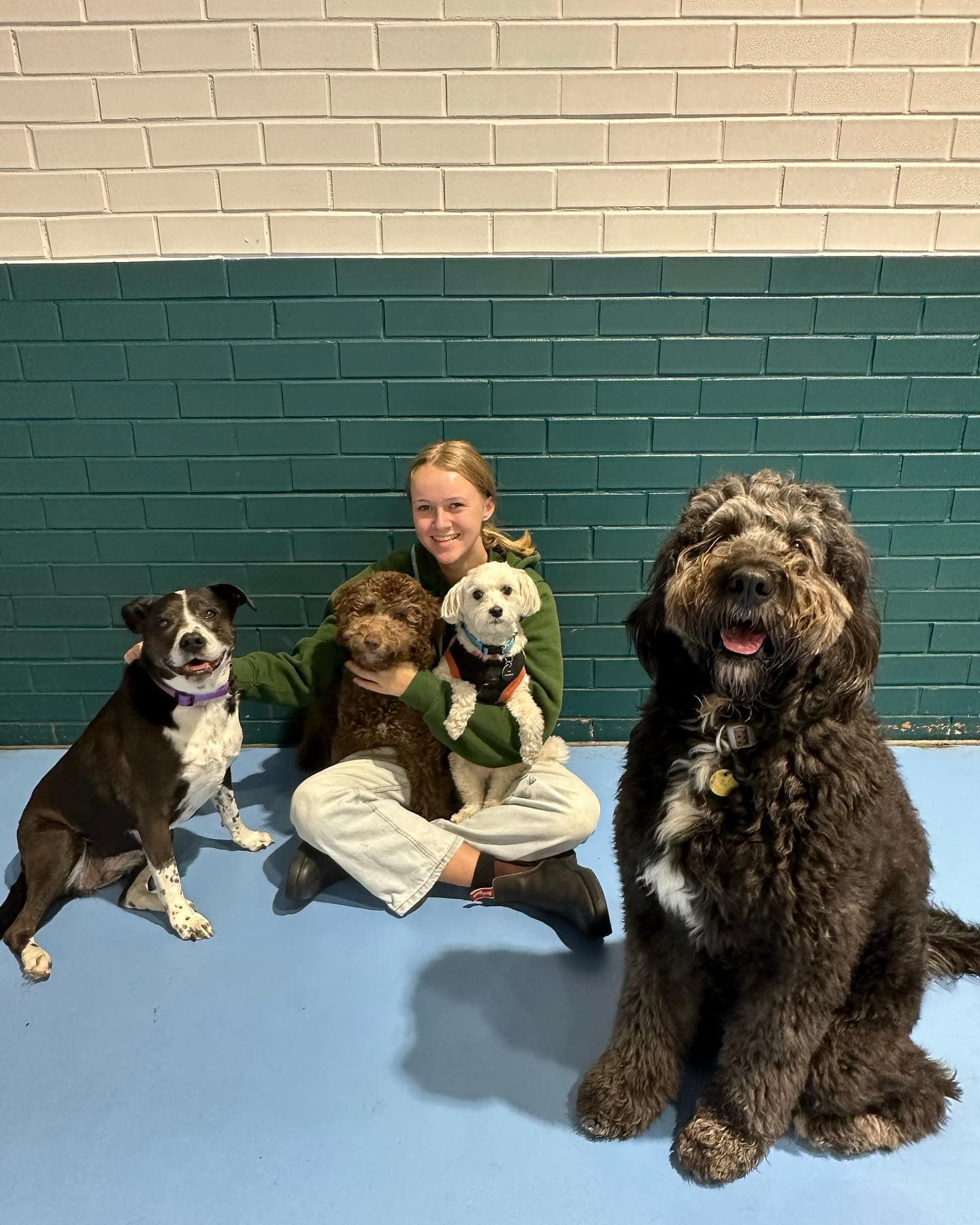Kip staff sitting with 4 dogs
