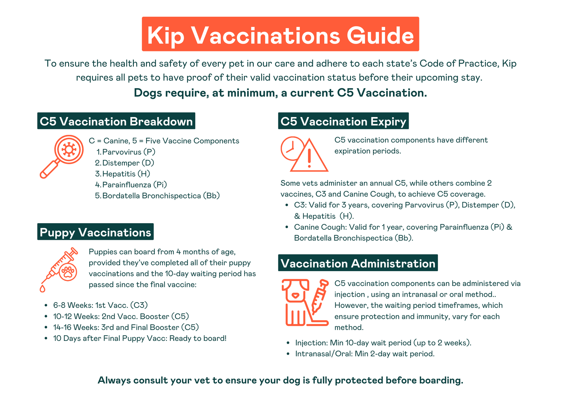 Dog vaccinations guide for Kip