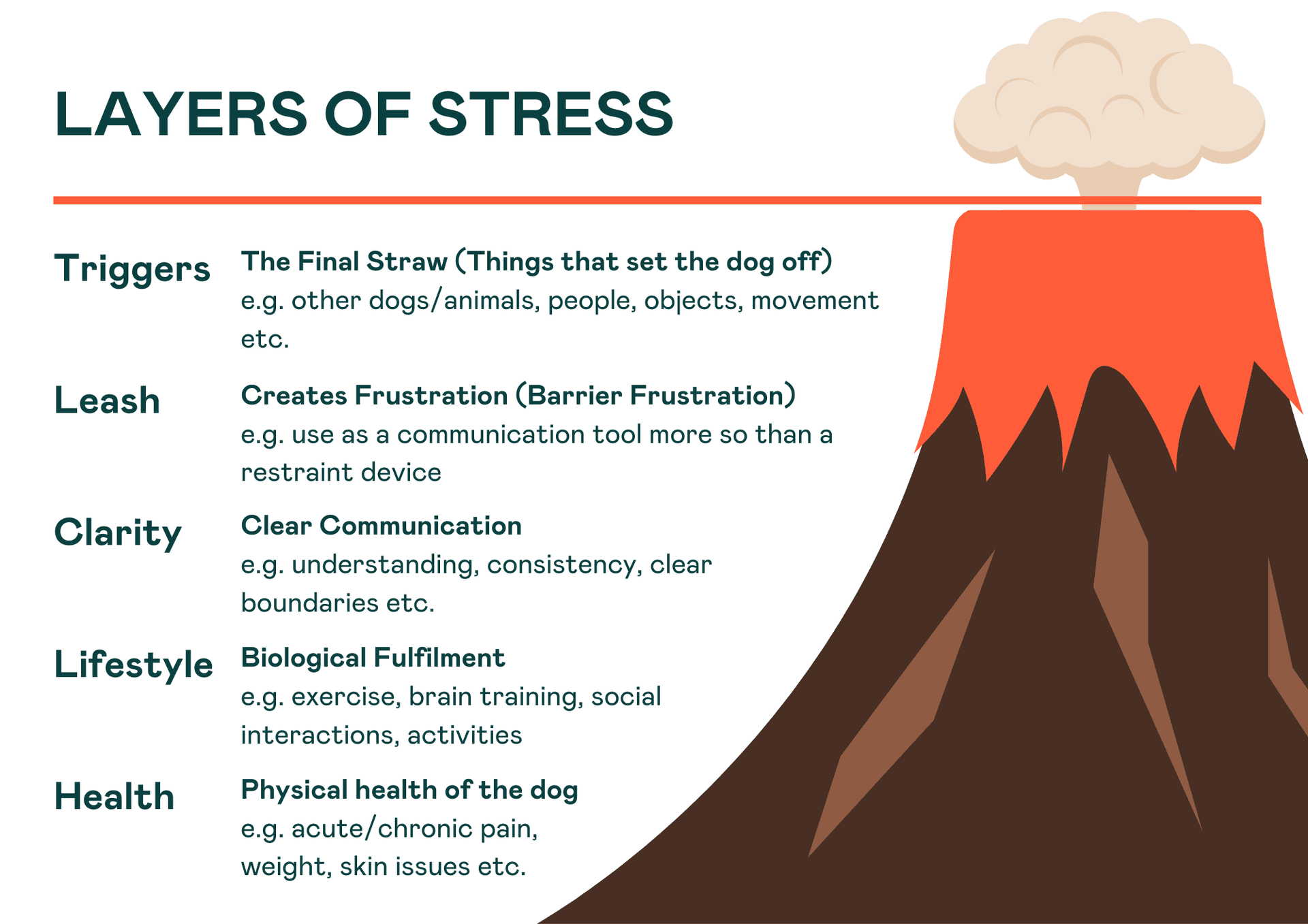 Layers of stress for dogs