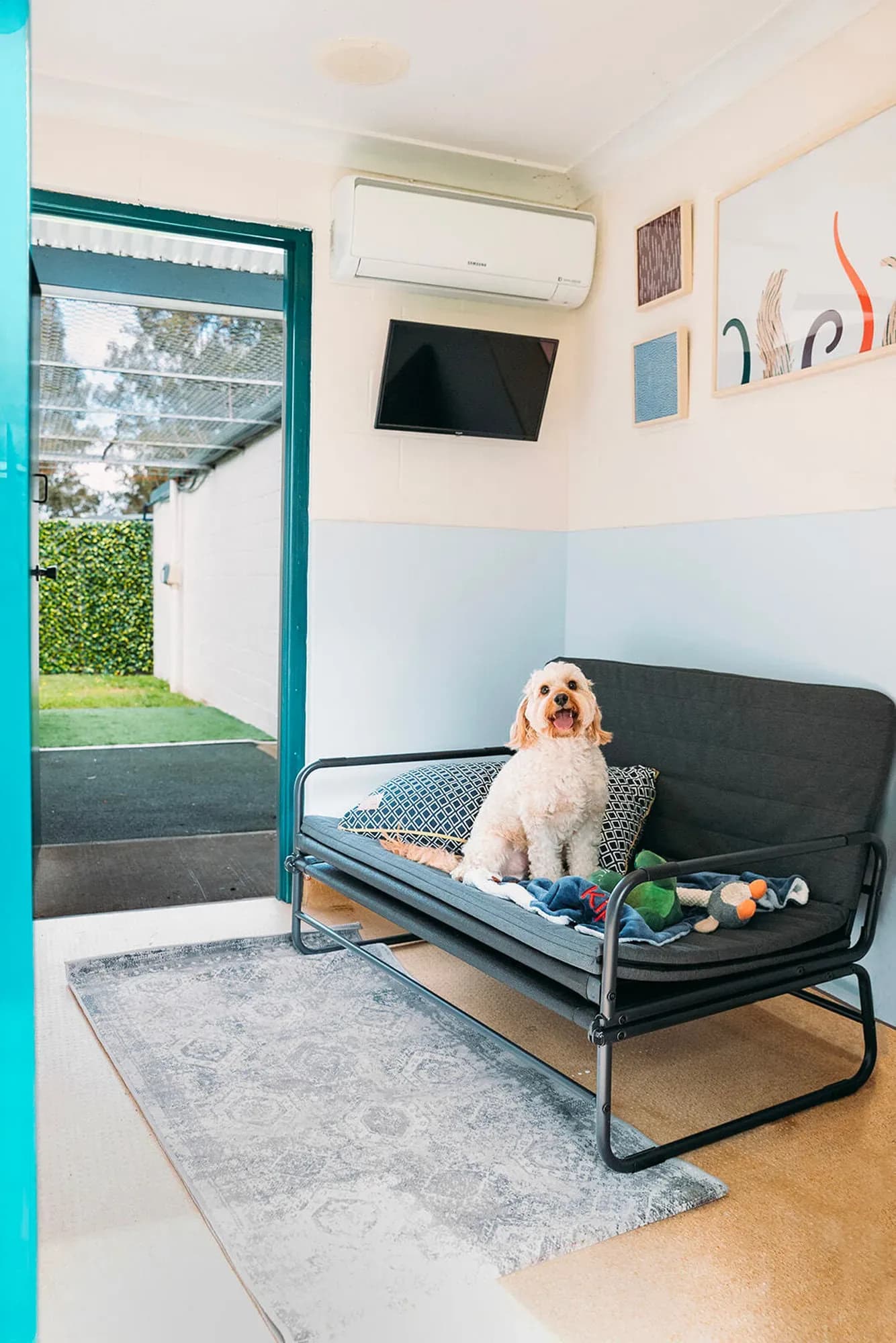 Luxury dog boarding kennels at Kip