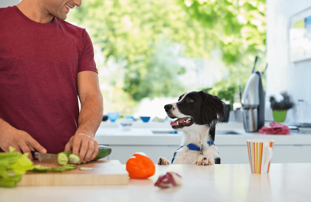 Man cooking with dog next to him