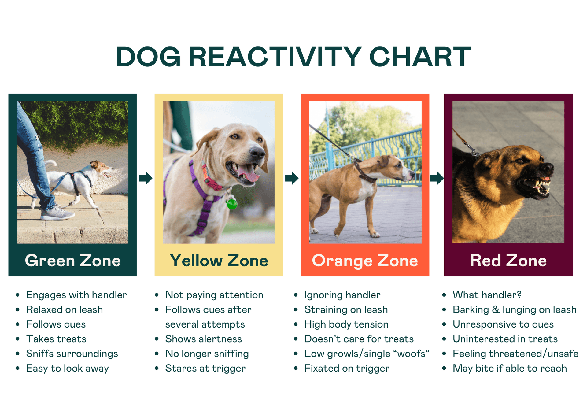 Dog reactivity chart