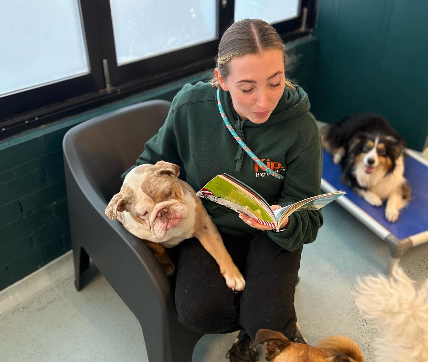 Kip employee reading a story to dogs