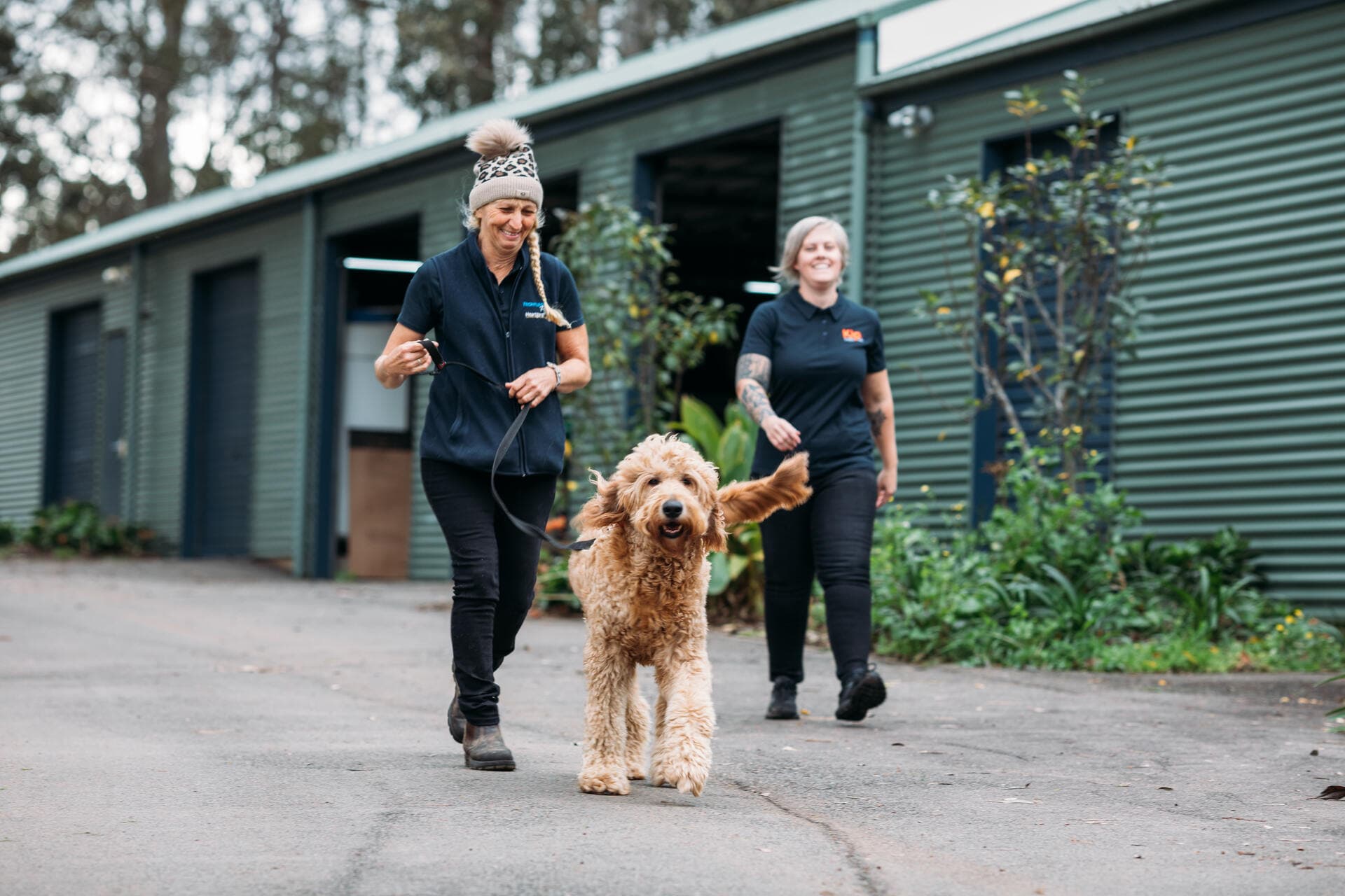 Two pet sitters walking with a happy dog at Pet Hotel Sydney
